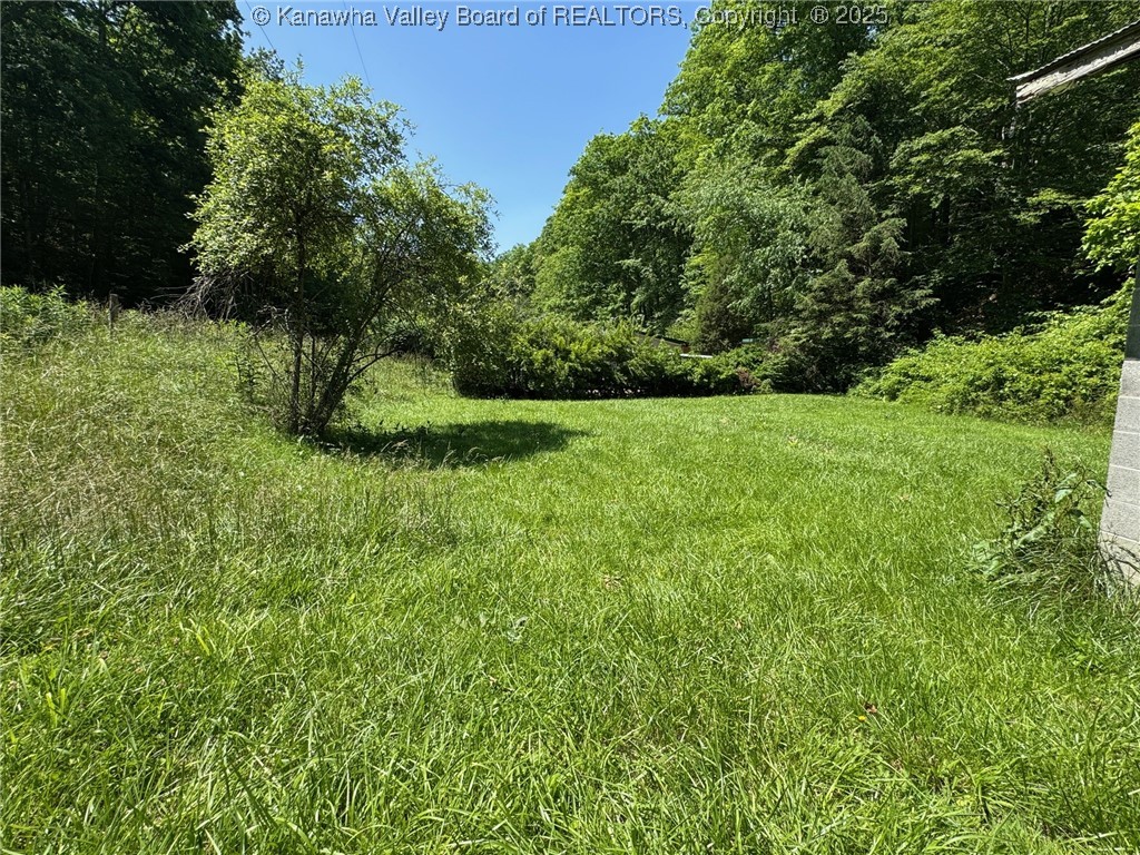 189 Wallback Road Maysel, WV 25133 - Photo 4 of 5 Gallery Image 4