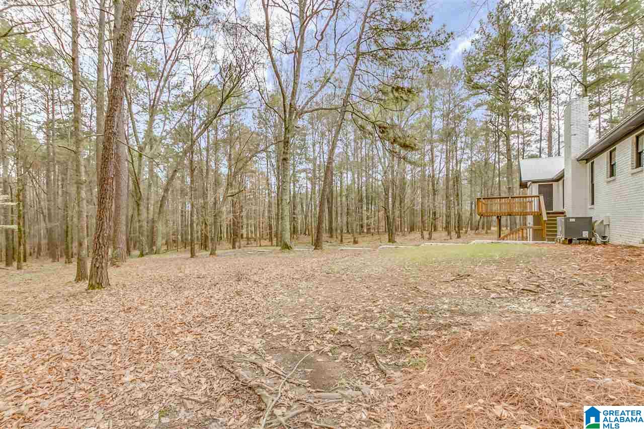 6150 Chelsea Road Columbiana, AL 35051 - Photo 41 of 50