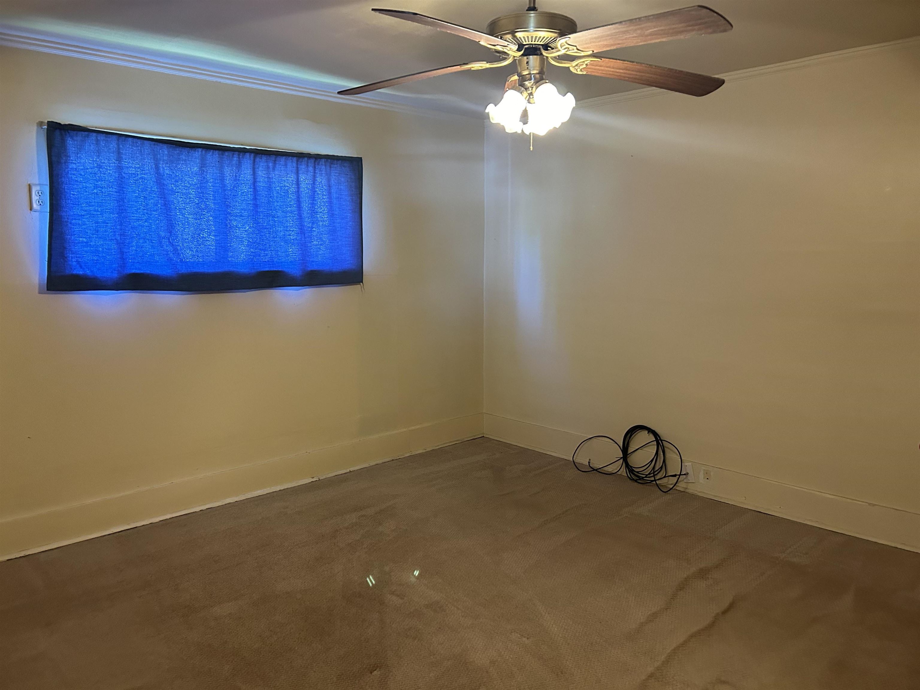 157 East 2nd Street Glidden, WI 54527 - Photo 10 of 15 Carpeted spare room with ornamental molding and ceiling fan