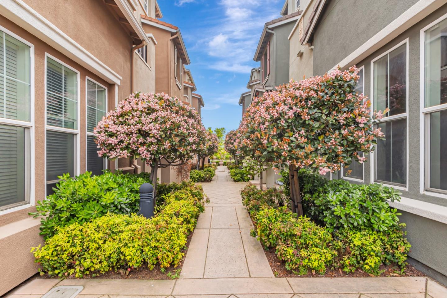 1744 Snell Place Milpitas, CA 95035 - Photo 4 of 35 a view of a pathway with flower pots