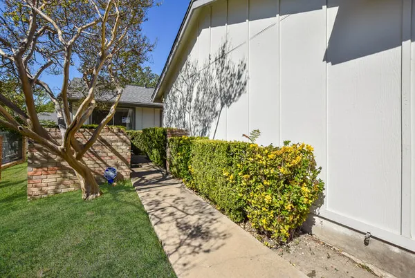 a view of a backyard with plants