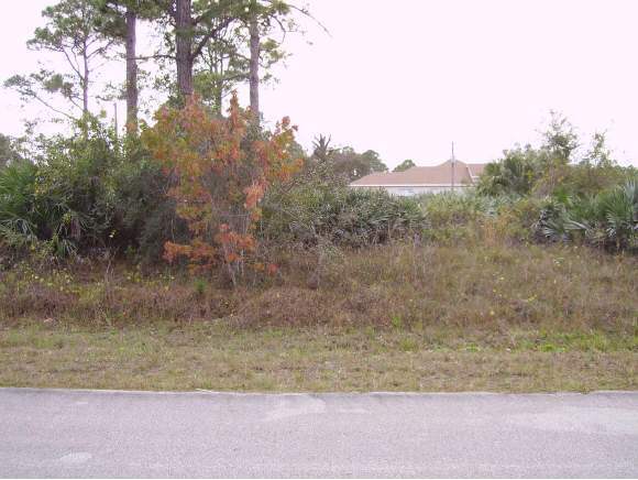 270 Sarah Road Southwest Palm Bay, FL 32908 - Photo 1 of 3 Primary Photo