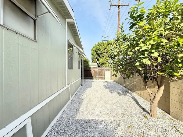 a white house with a tree in front of it
