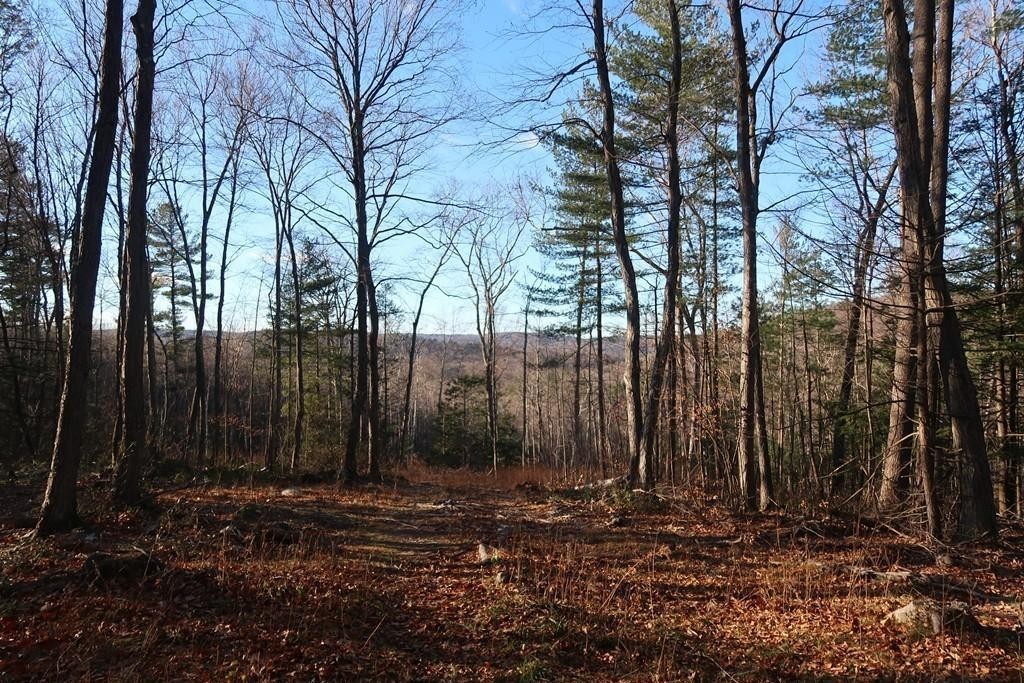 332 Turkey Hill Road Northampton, MA 01062 - Photo 11 of 20 a view of a backyard of the house