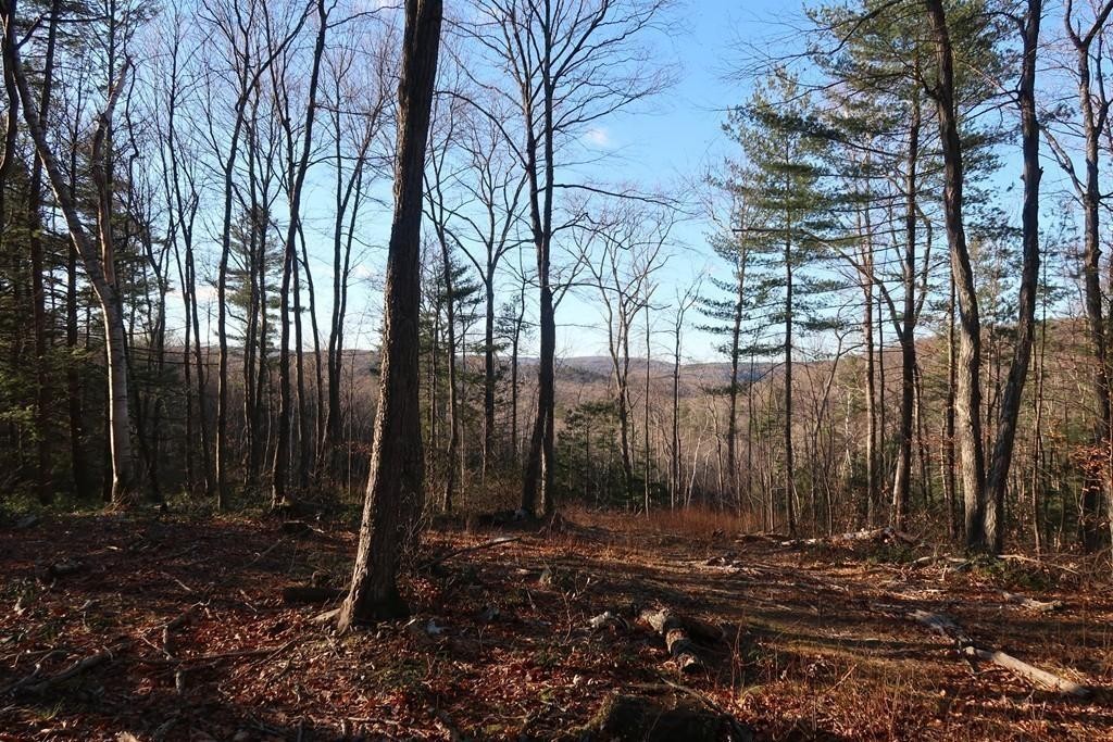 332 Turkey Hill Road Northampton, MA 01062 - Photo 12 of 20 a backyard of a house with lots of green space
