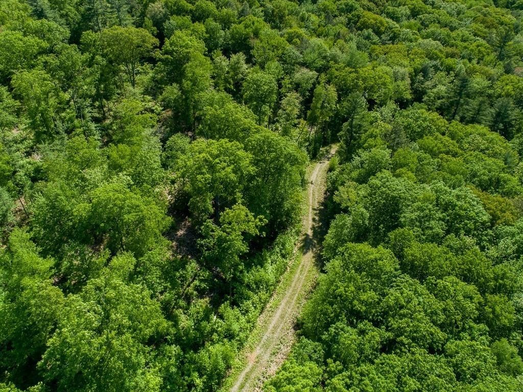 332 Turkey Hill Road Northampton, MA 01062 - Photo 6 of 20 an aerial view of residential house with outdoor space and trees all around