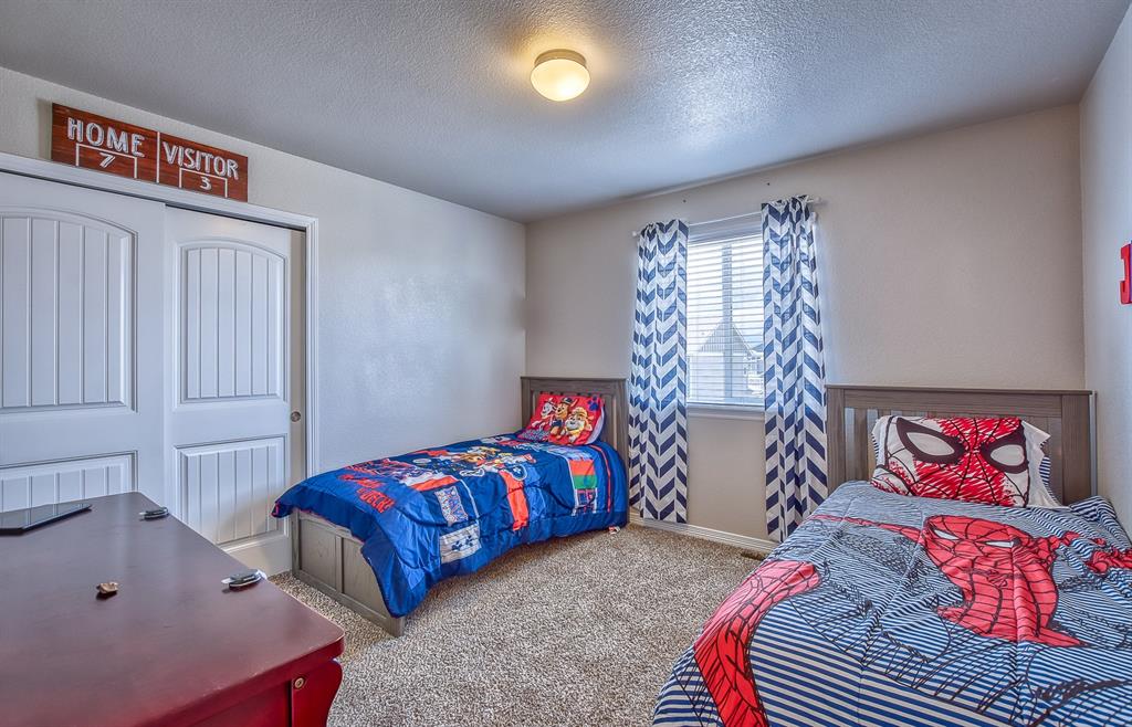 6670 Big George Drive Colorado Springs, CO 80923 - Photo 23 of 36