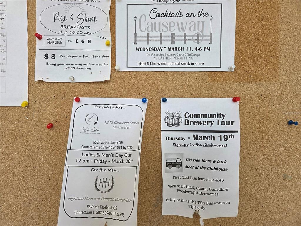 960 Virginia Street, Unit 207 Dunedin, FL 34698 - Photo 27 of 41