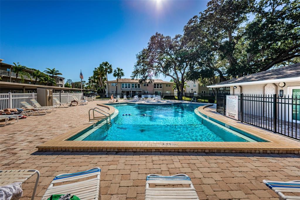 960 Virginia Street, Unit 207 Dunedin, FL 34698 - Photo 35 of 41