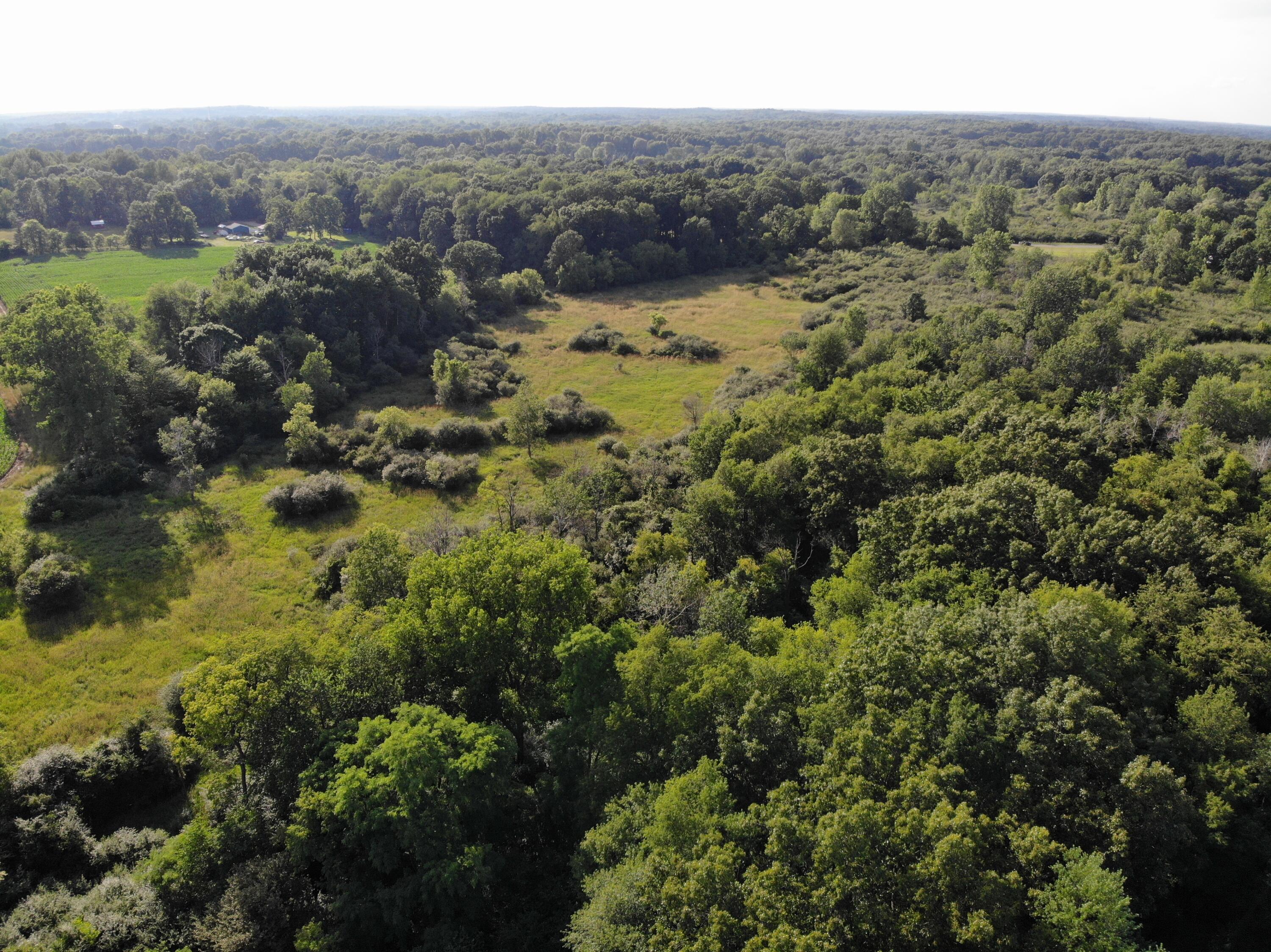 8080 Moscow Road Horton, MI 49246 - Photo 8 of 10 DJI_0018