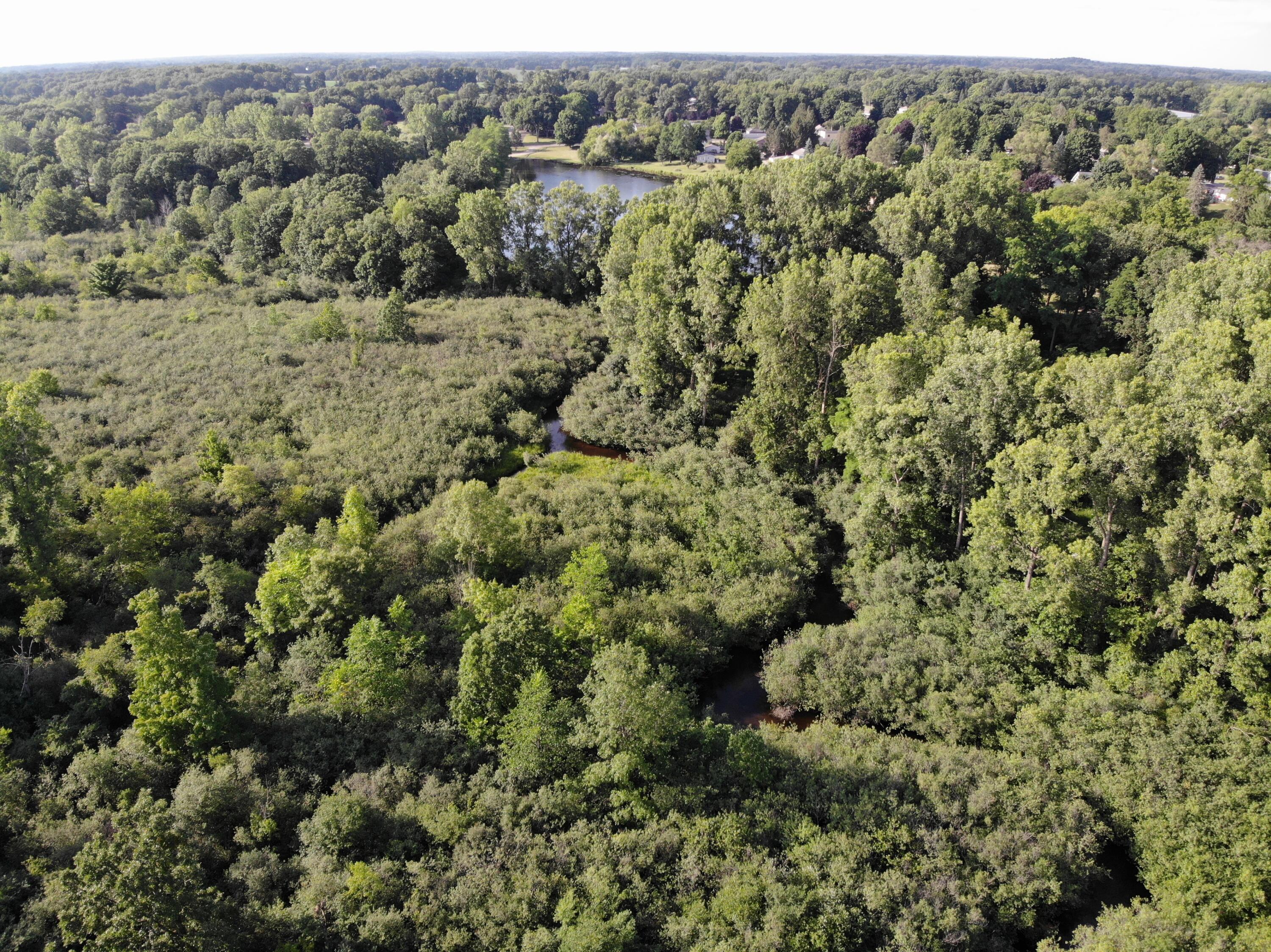 8080 Moscow Road Horton, MI 49246 - Photo 10 of 10 DJI_0023