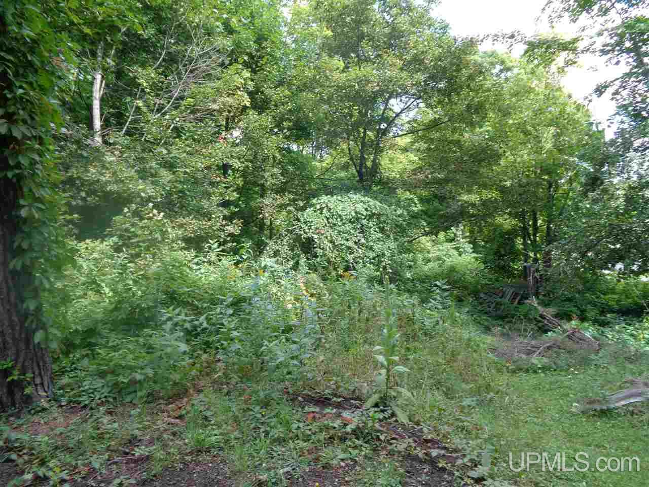 42908 Ogima Road Painesdale, MI 49955 - Photo 5 of 23