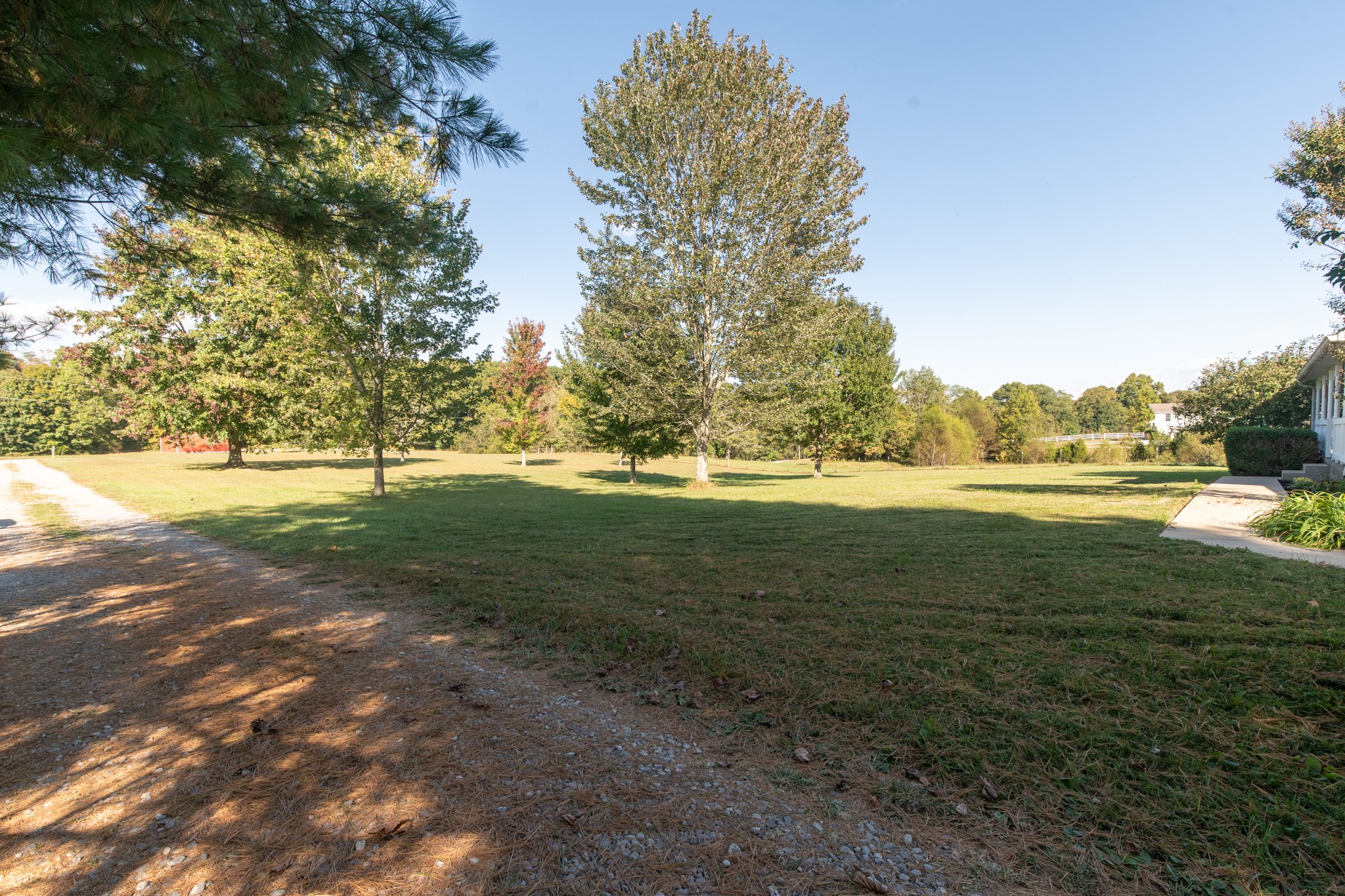 6699 East Benton Road Springfield, TN 37172 - Photo 62 of 66 a view of a field with an trees