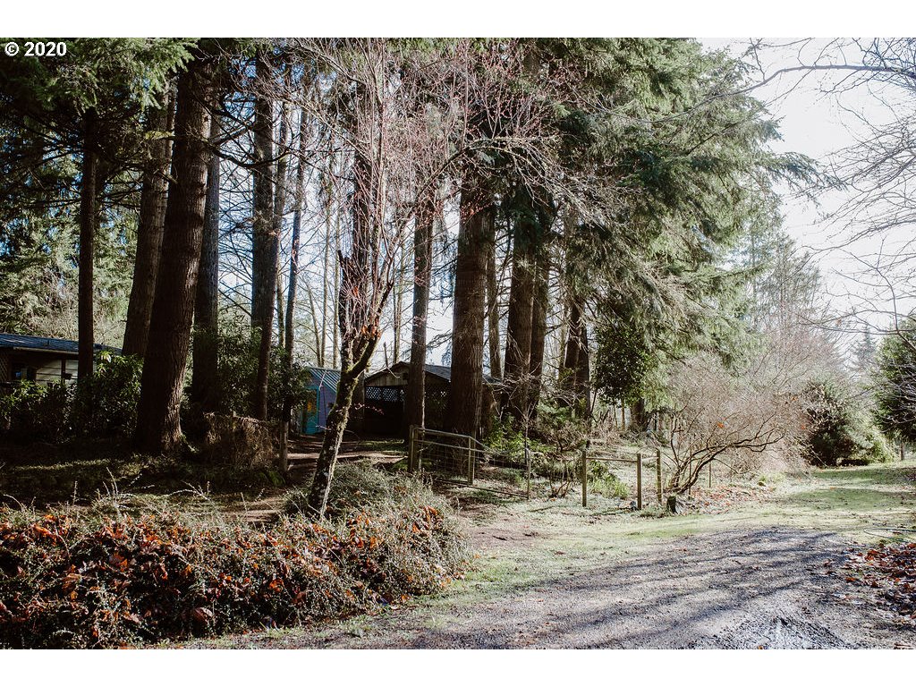 74754 Olson Road Clatskanie, OR 97016 - Photo 22 of 31 Gallery Image 22