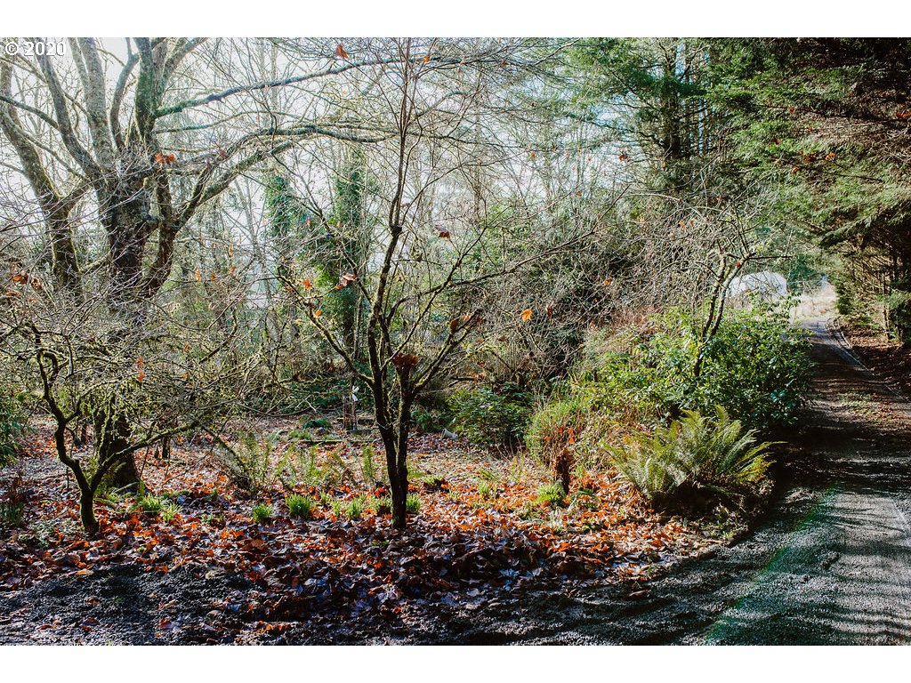 74754 Olson Road Clatskanie, OR 97016 - Photo 23 of 31 Gallery Image 23