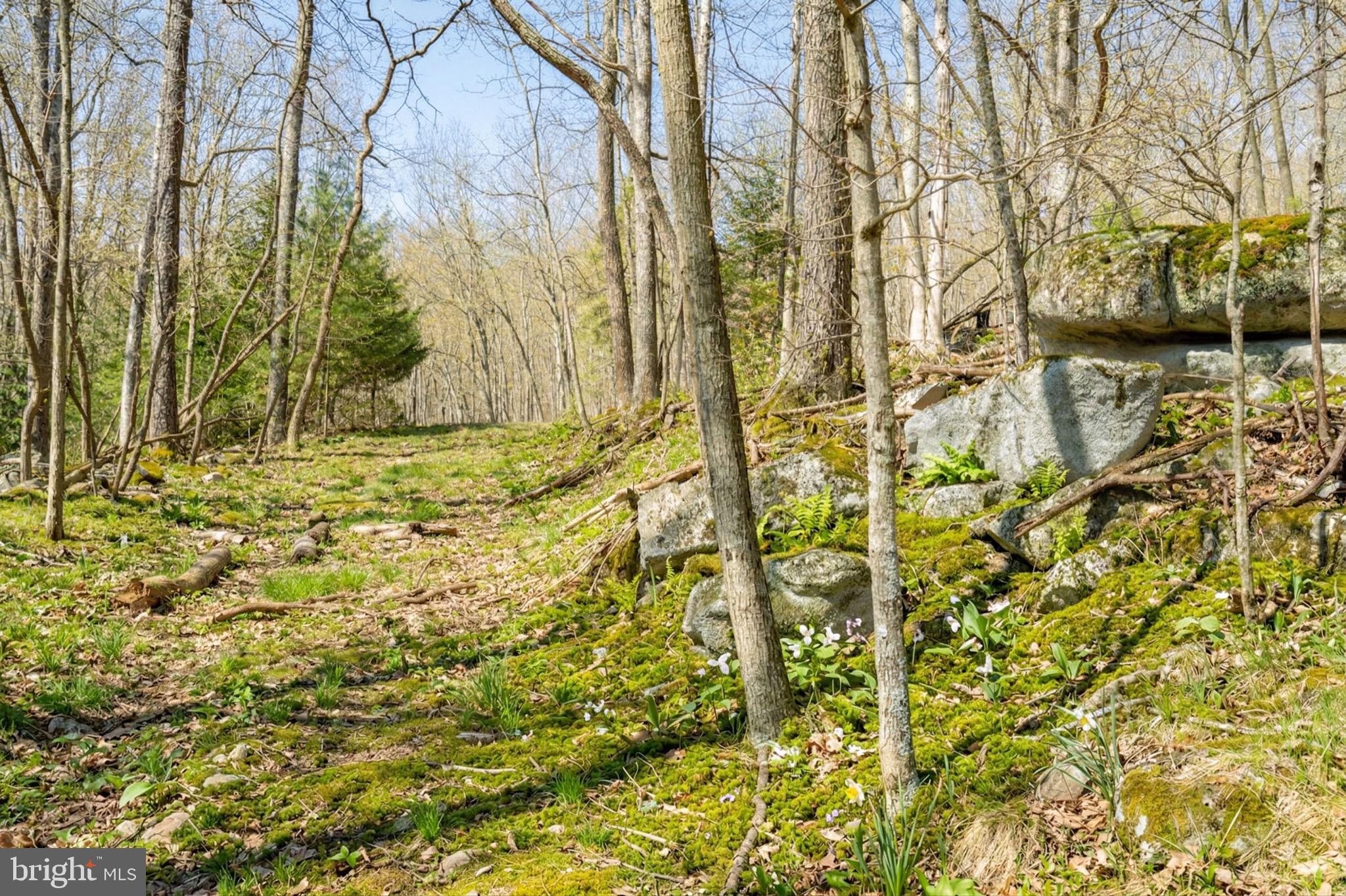 2361 Rock Lodge Road McHenry, MD 21541 - Photo 53 of 53