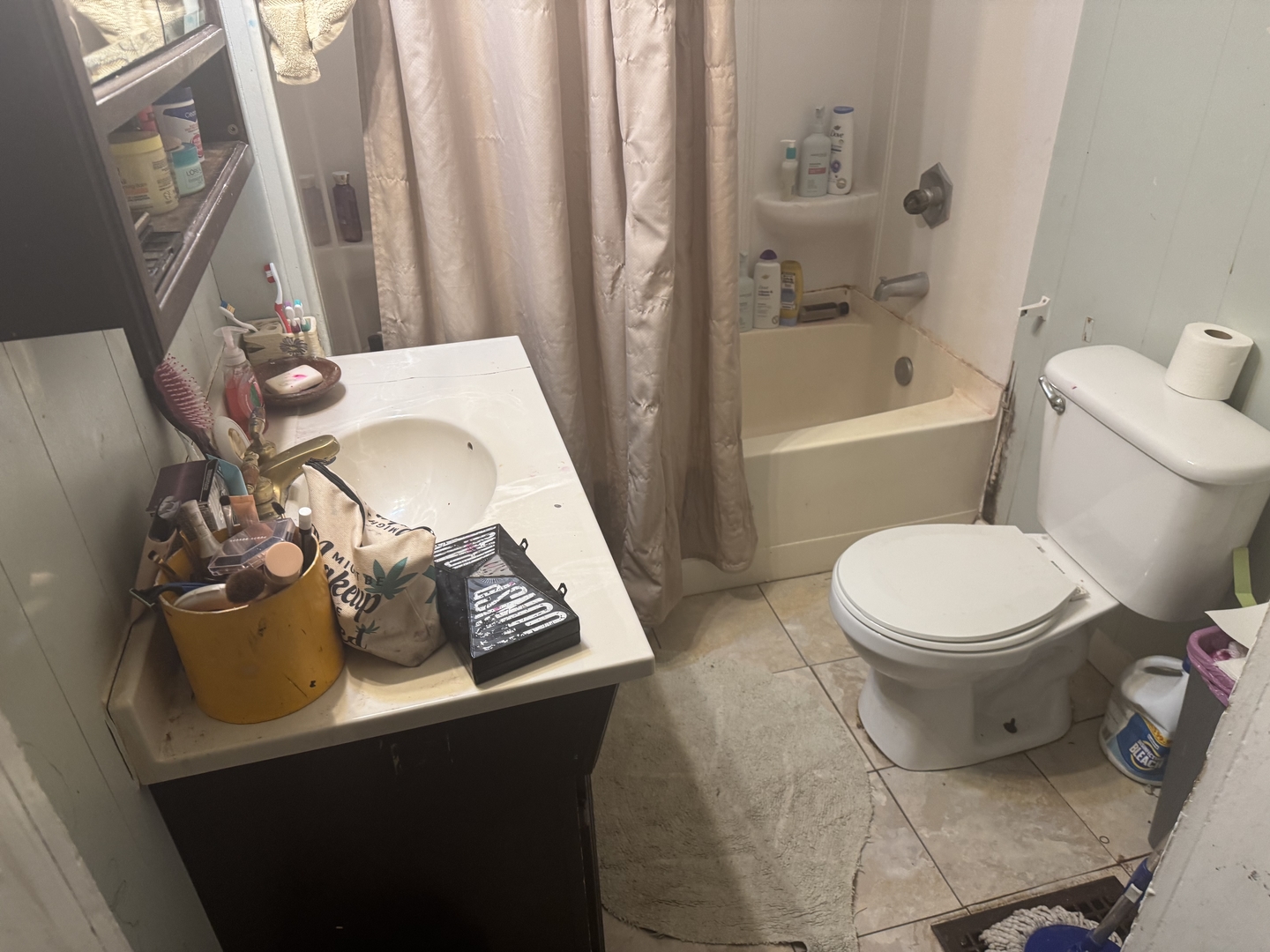 124 Central Street Atwood, IL 61913 - Photo 5 of 6 a bathroom with a toilet and a sink