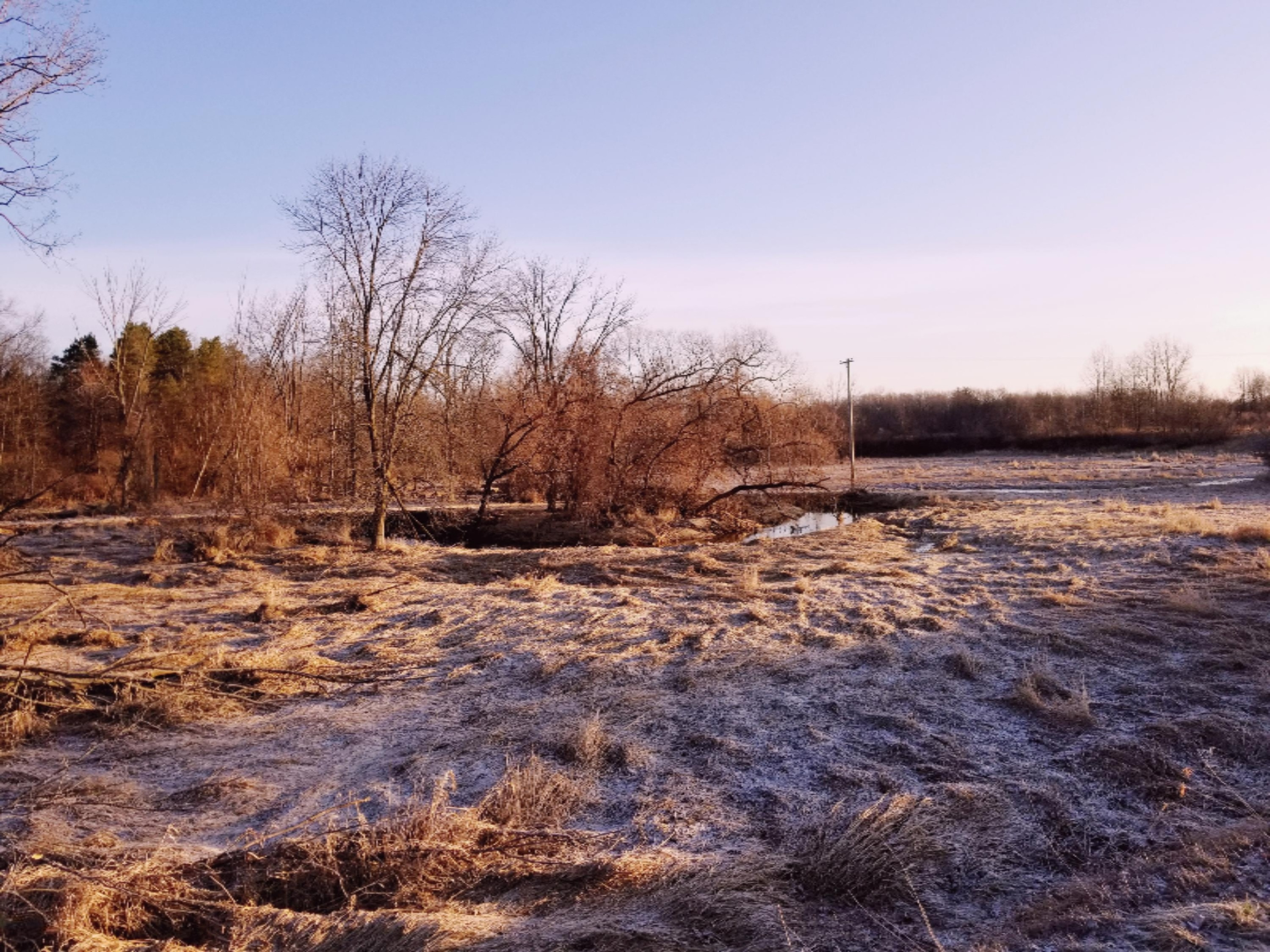 18650 Gary Road Chesaning, MI 48616 - Photo 15 of 17 20180227_075150