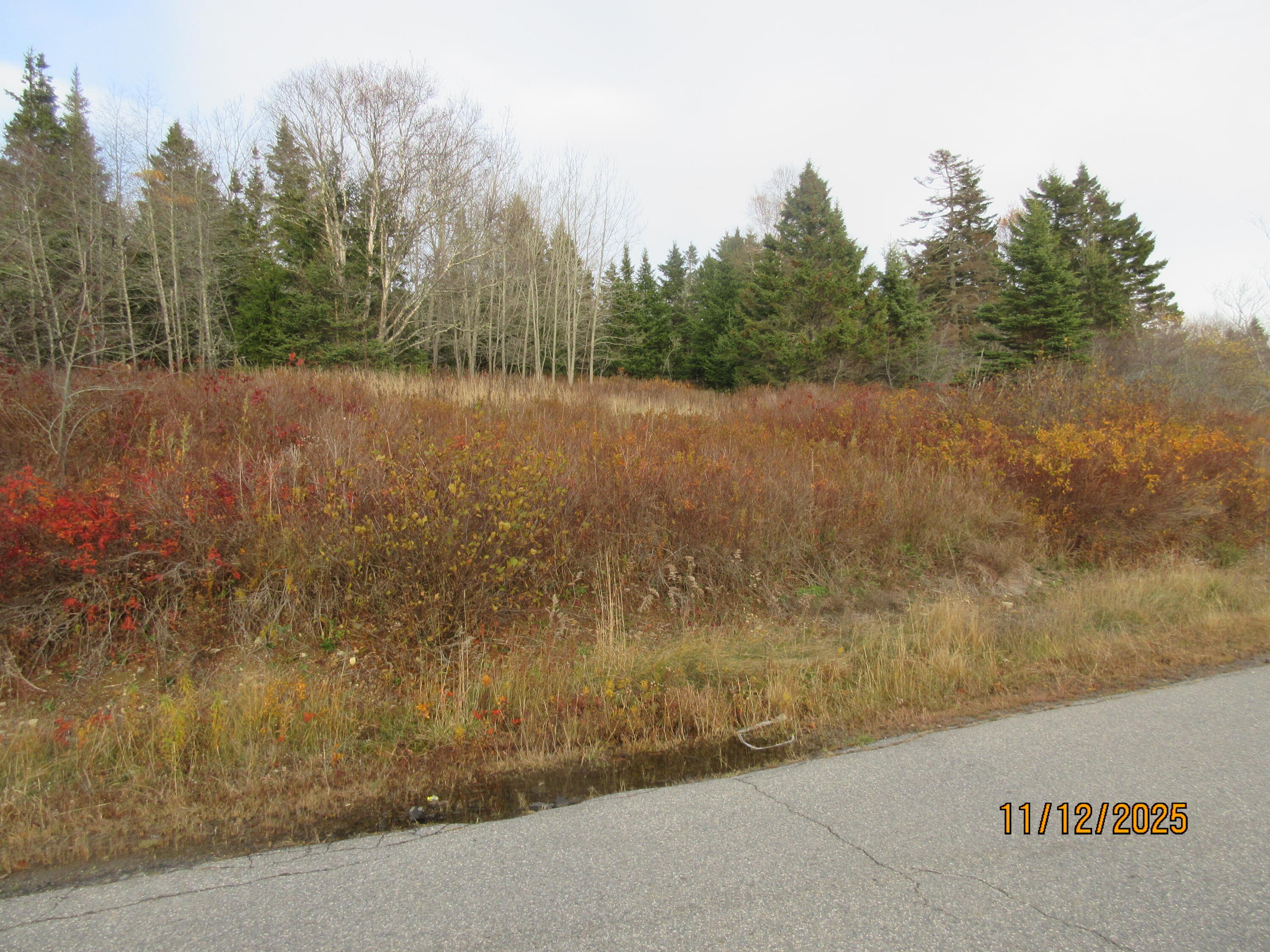 Lot 1 Smalls Point Road Machiasport, ME 04655 - Photo 4 of 5 Property