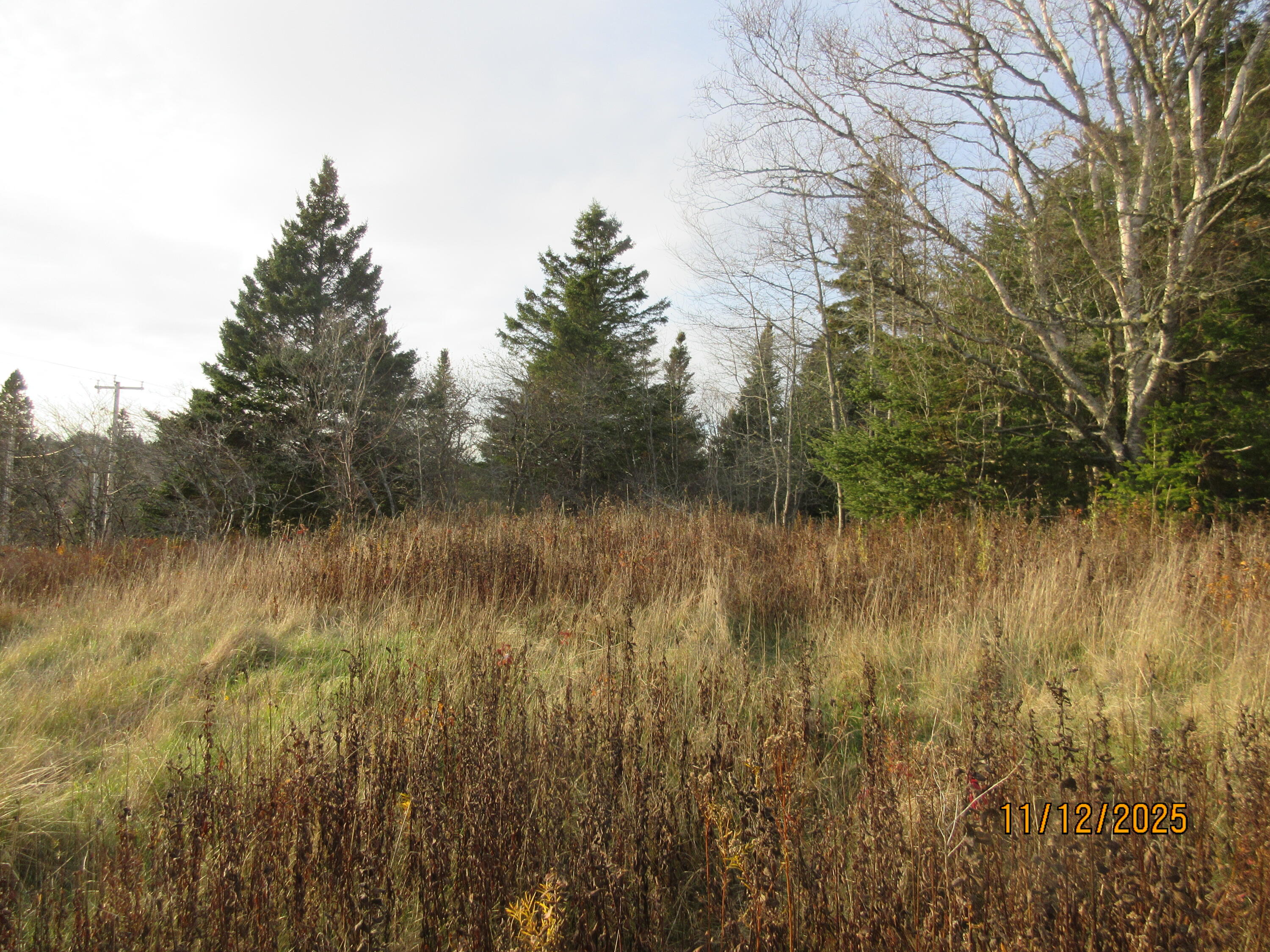 Lot 1 Smalls Point Road Machiasport, ME 04655 - Photo 5 of 5 Property