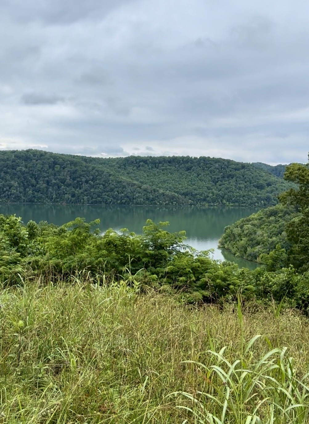 1250 Lafever Ridge Road Silver Point, TN 38582 - Photo 1 of 4 a view of lake with green space