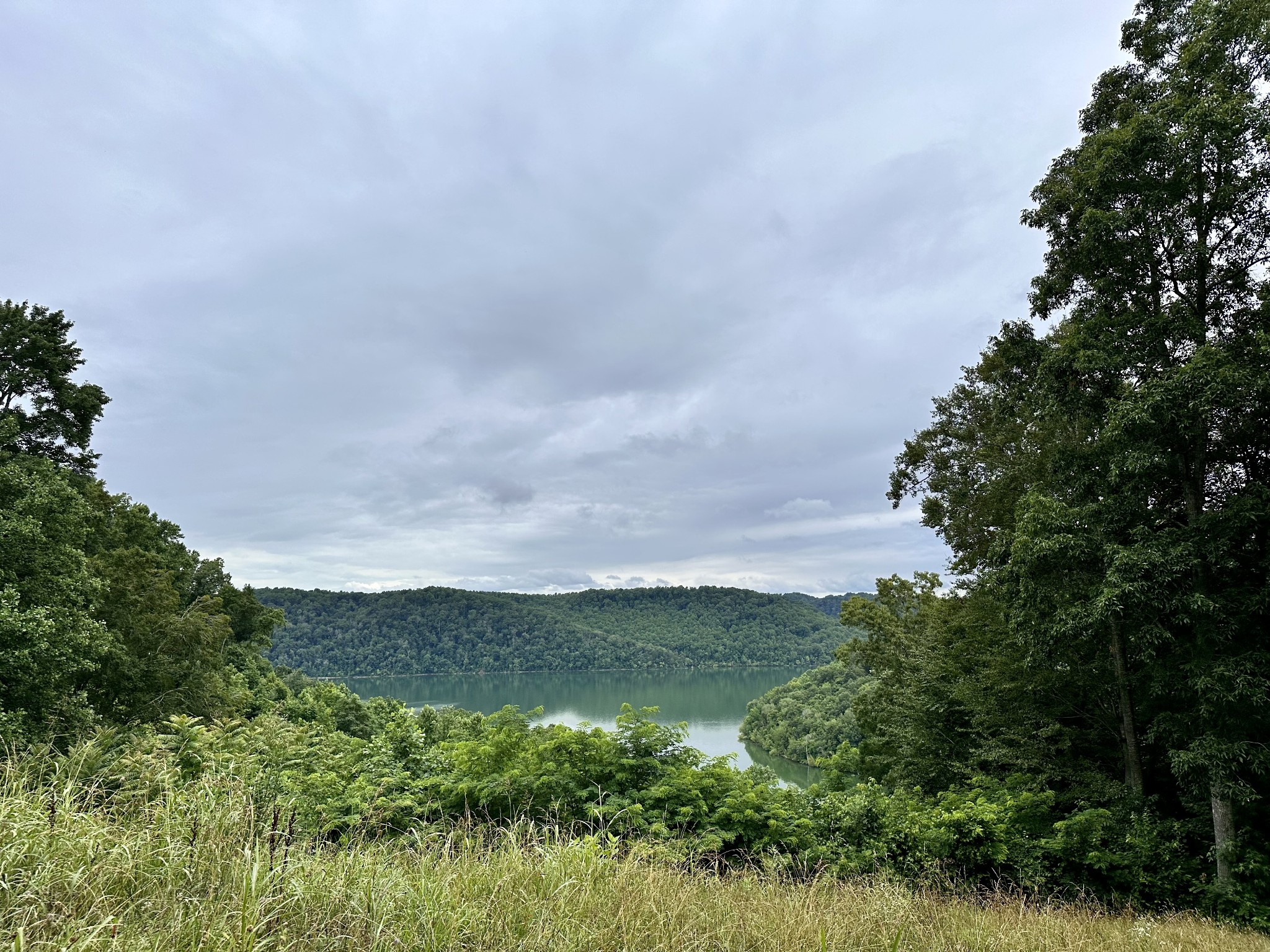 1250 Lafever Ridge Road Silver Point, TN 38582 - Photo 3 of 4 a view of a lake in middle of forest