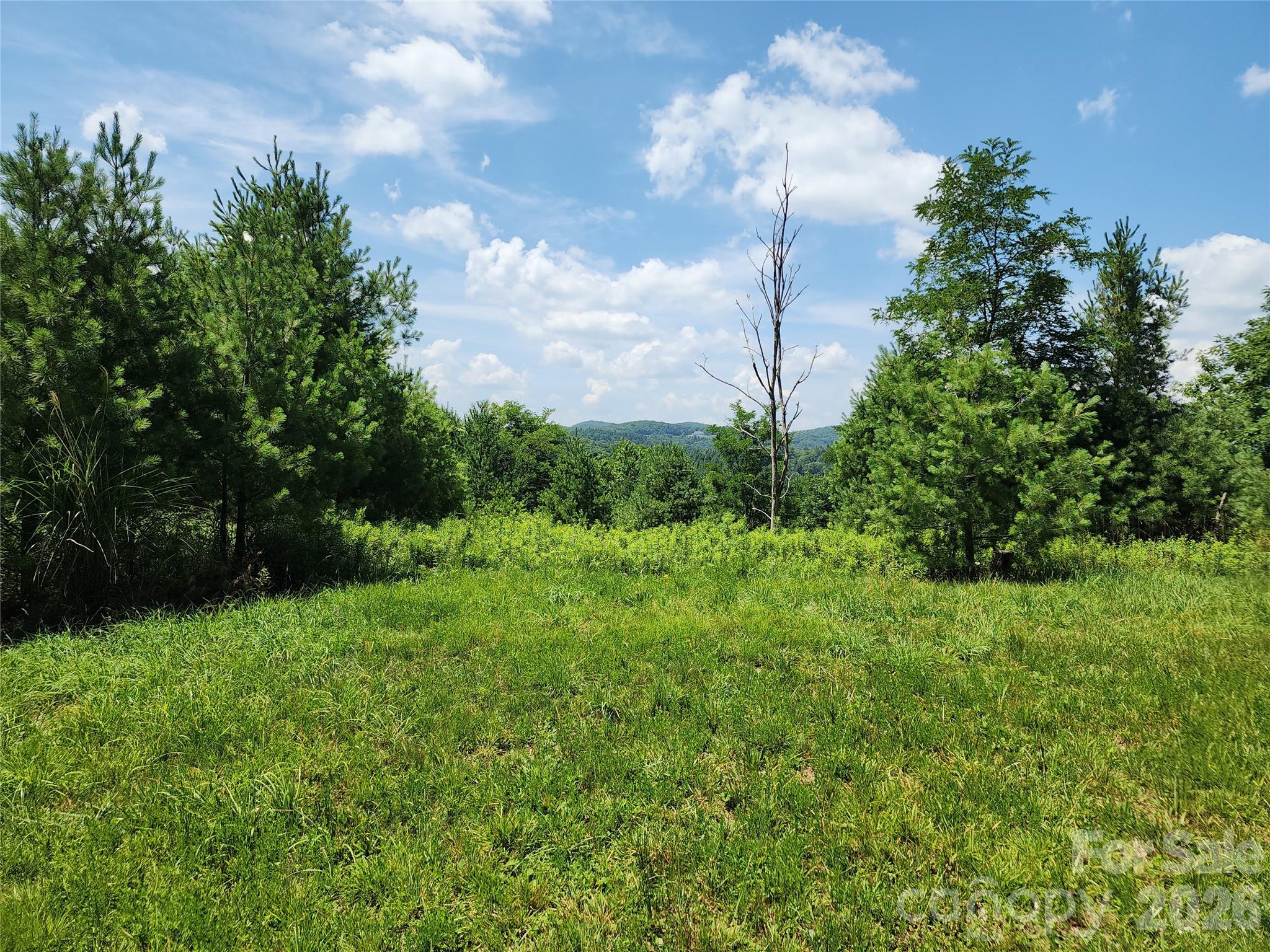 0 Chestnut Drive Rougemont, NC 27572 - Photo 7 of 13