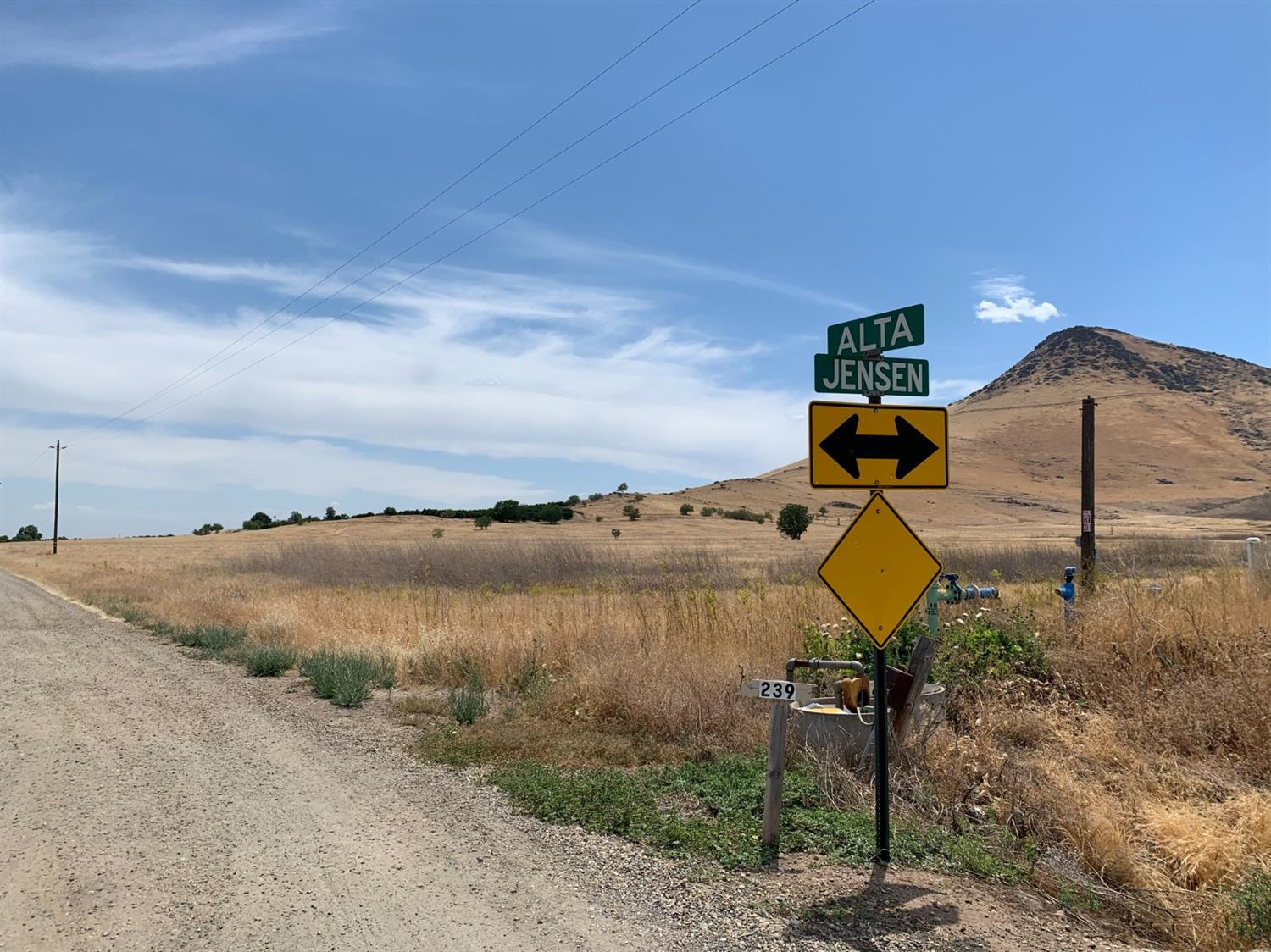 0 Southwest Sw Corner Northeast Reedley, CA 93654 - Photo 1 of 7 Gallery Image 1
