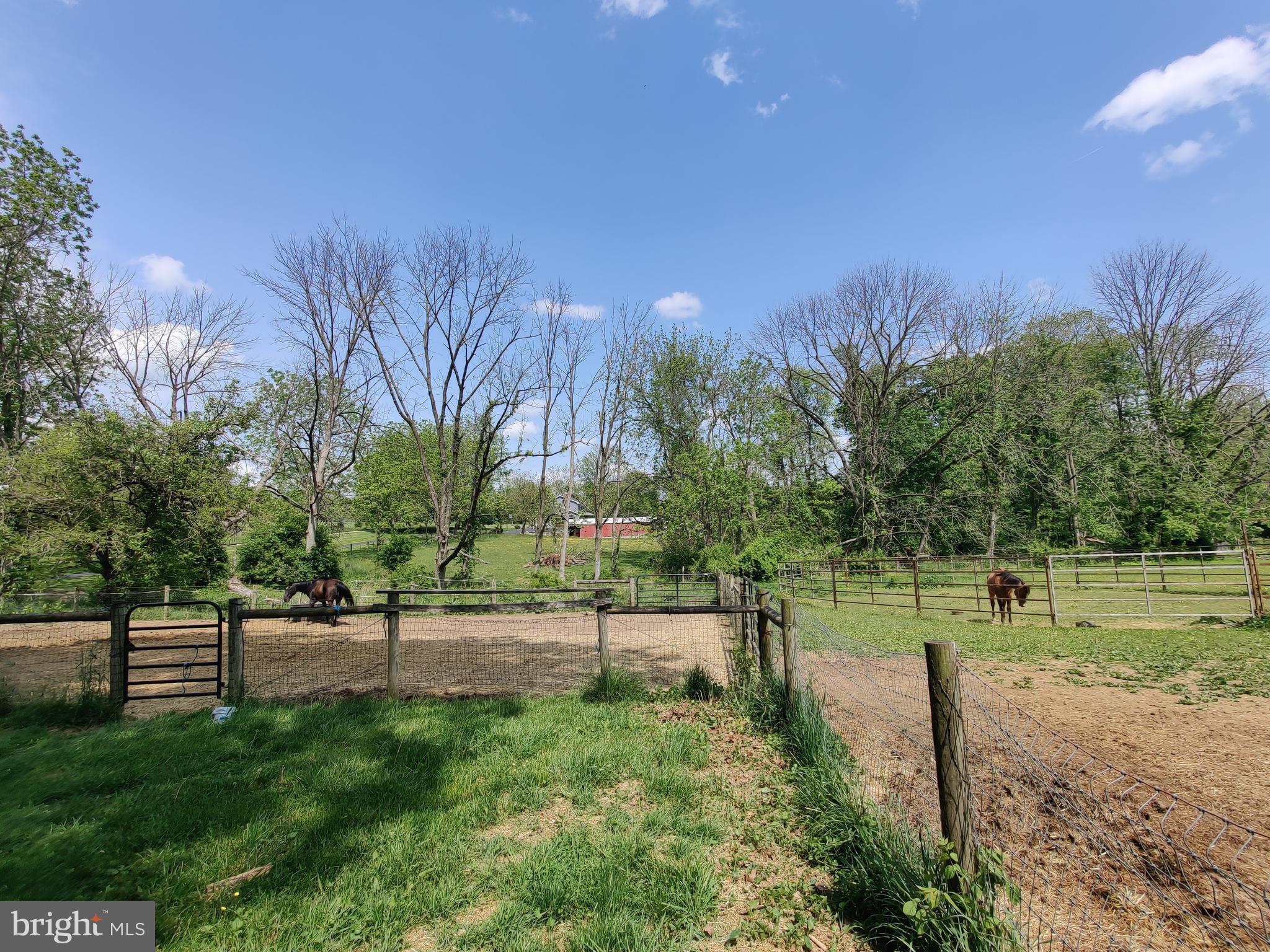 1212 Chestnut Tree Road Honey Brook, PA 19344 - Photo 17 of 82 Gallery Image 17