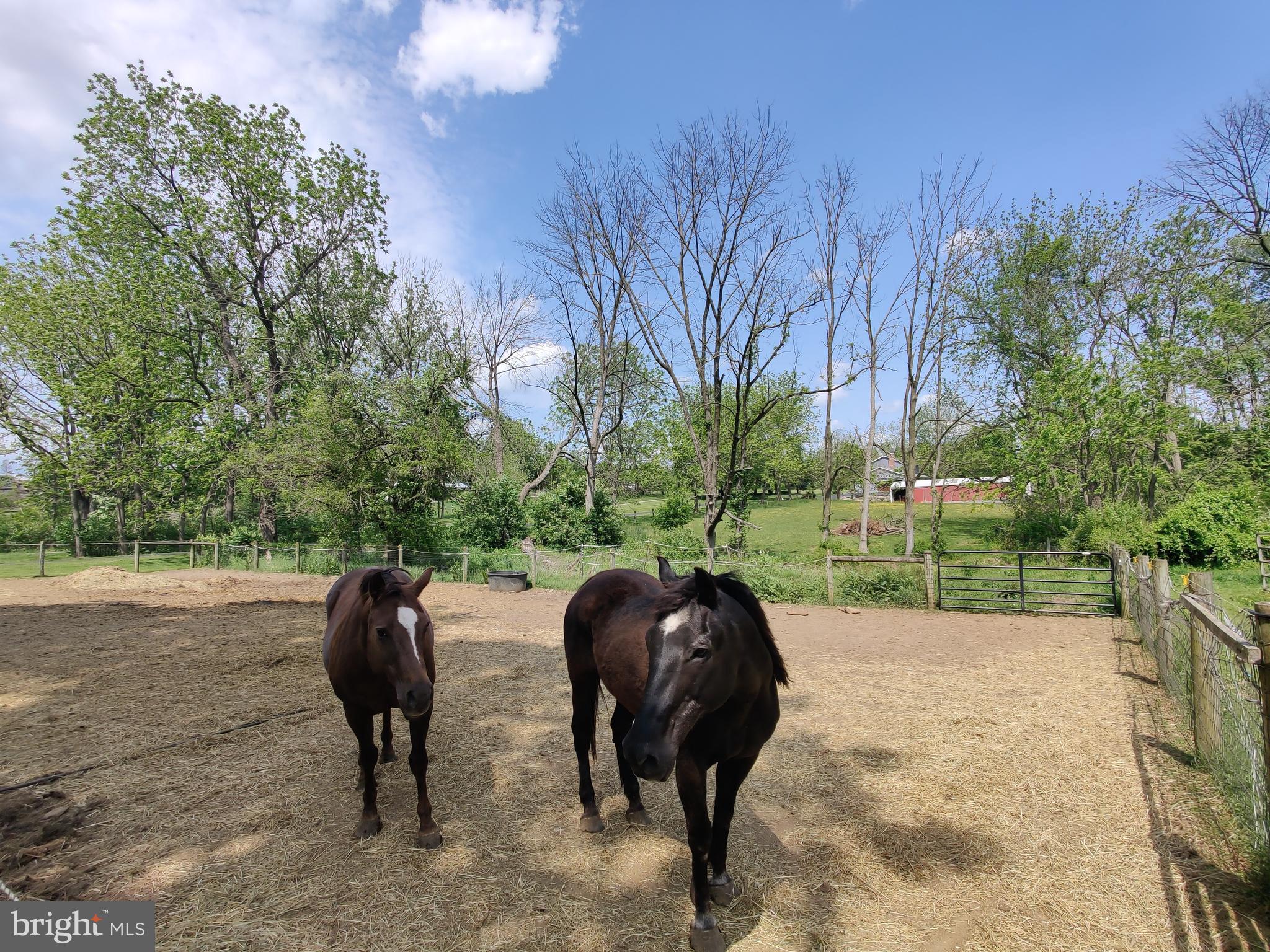 1212 Chestnut Tree Road Honey Brook, PA 19344 - Photo 21 of 82 Gallery Image 21