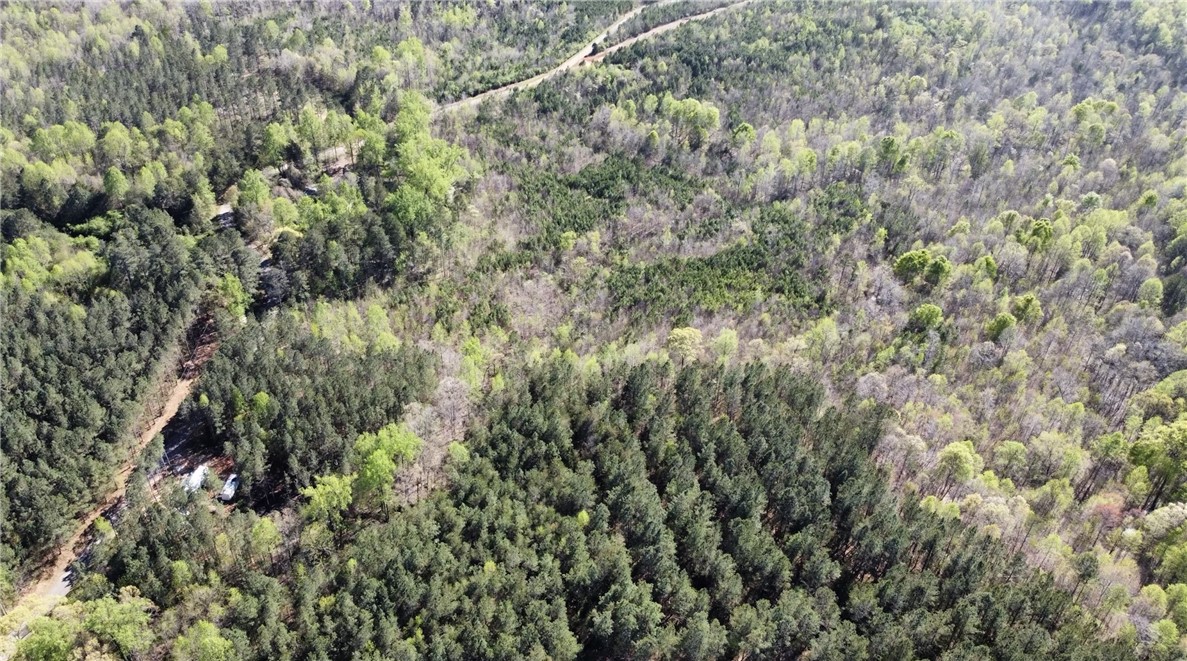 320 Fishers Cove Road Fair Play, SC 29643 - Photo 4 of 7