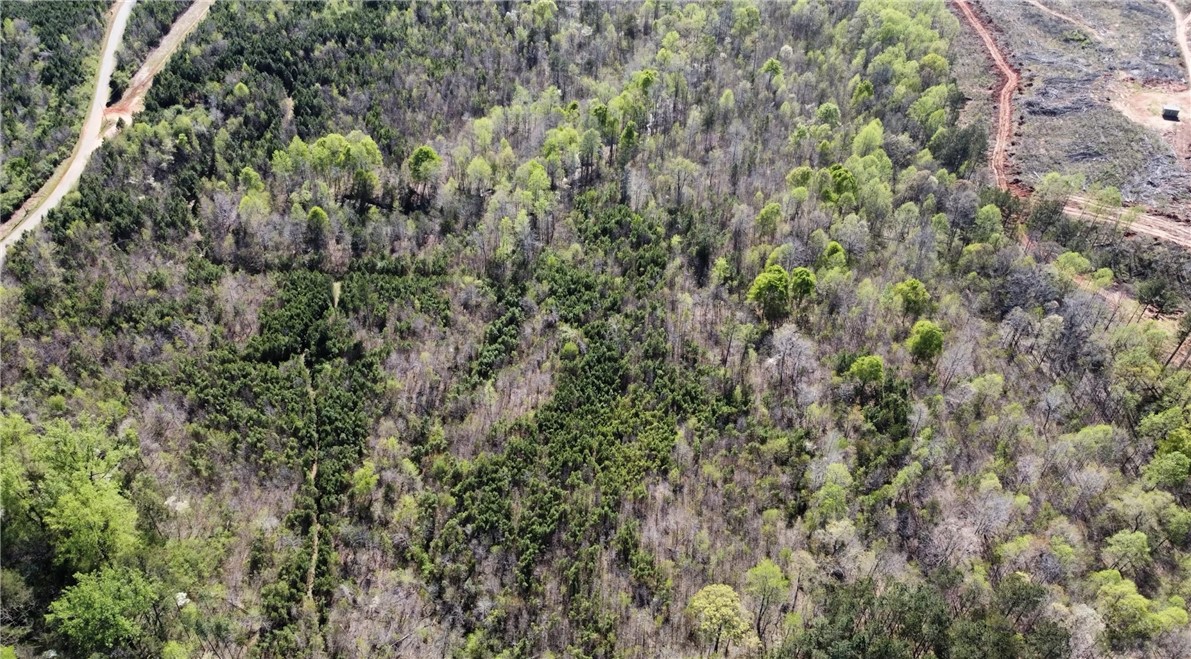 320 Fishers Cove Road Fair Play, SC 29643 - Photo 5 of 7