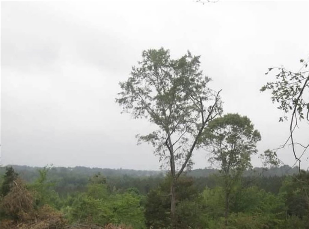 320 Fishers Cove Road Fair Play, SC 29643 - Photo 6 of 7