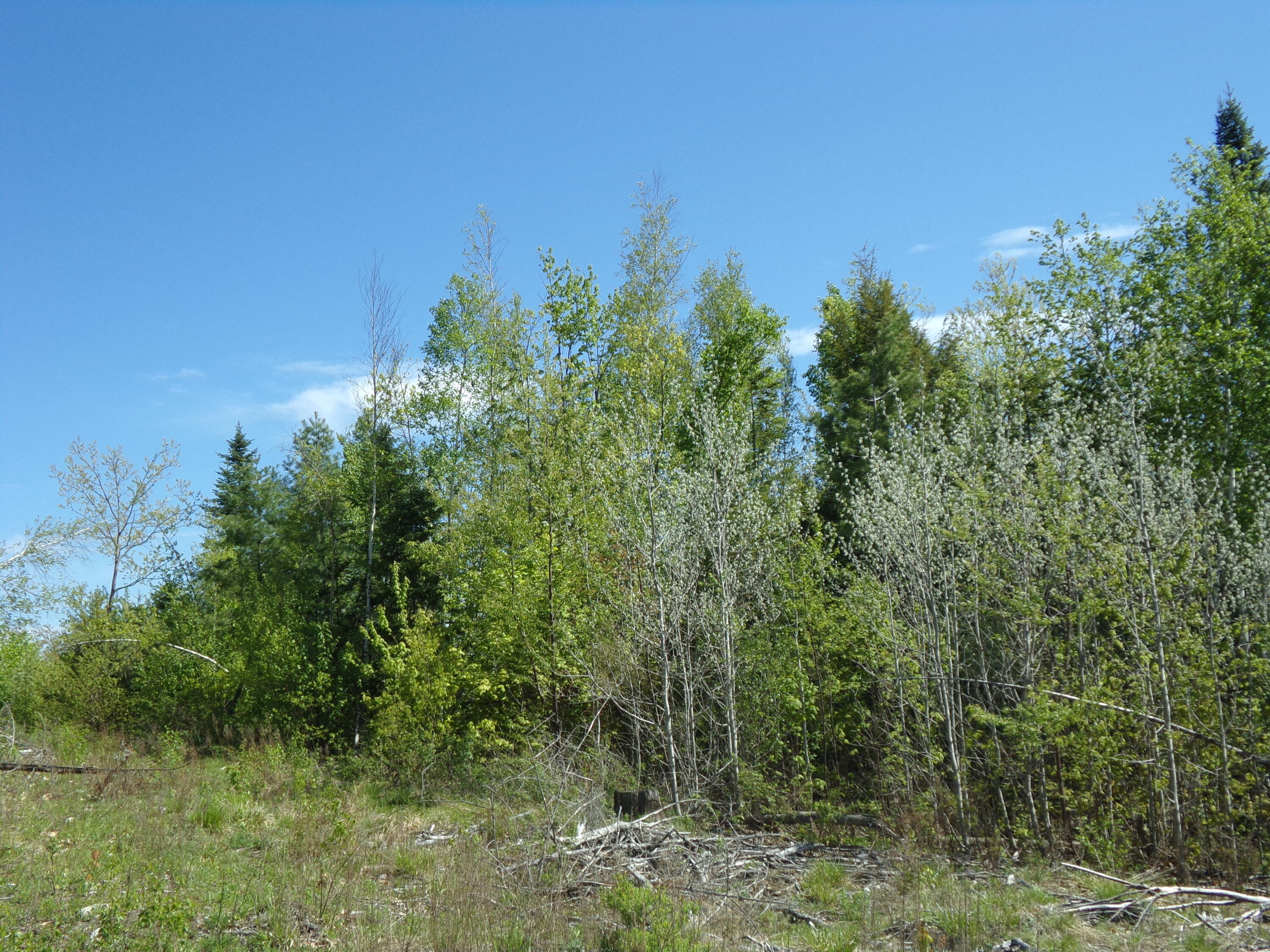 0 North Road Athens, ME 04912 - Photo 4 of 8 102_0103
