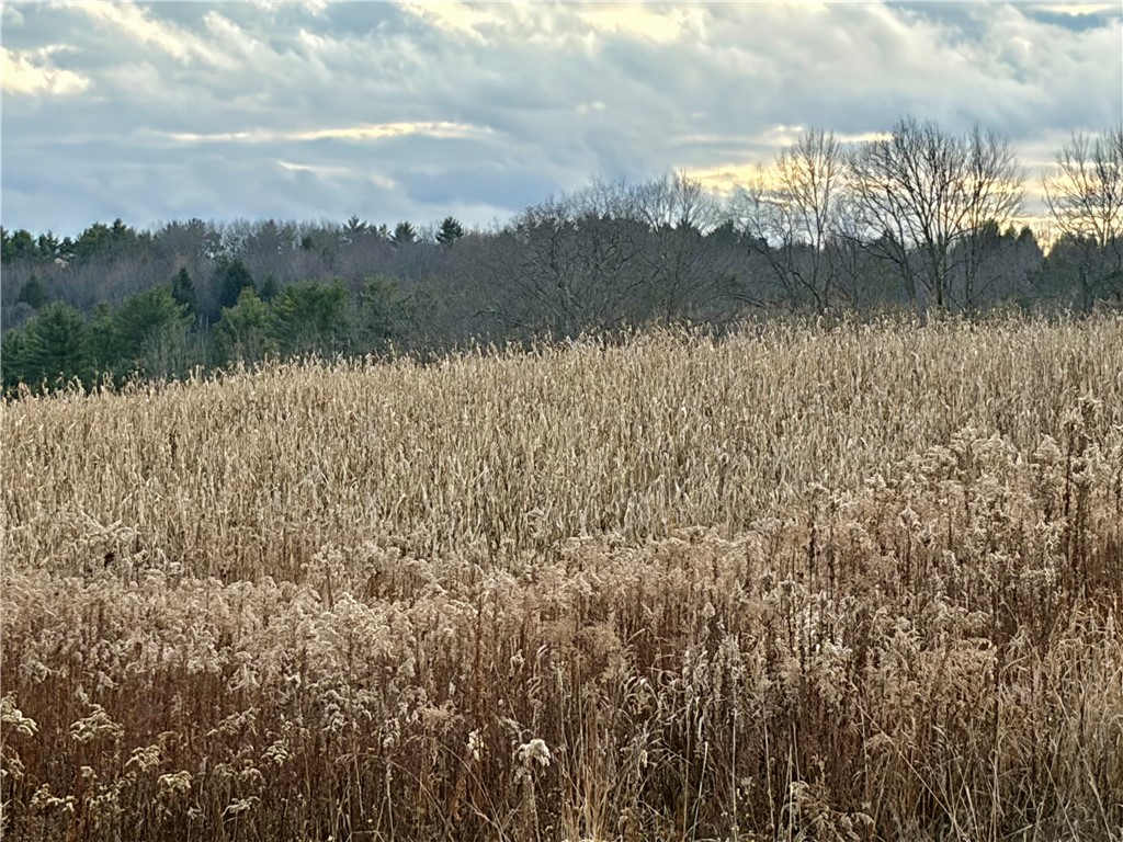 181 Short Crumhorn Road Maryland, NY 12116 - Photo 2 of 6