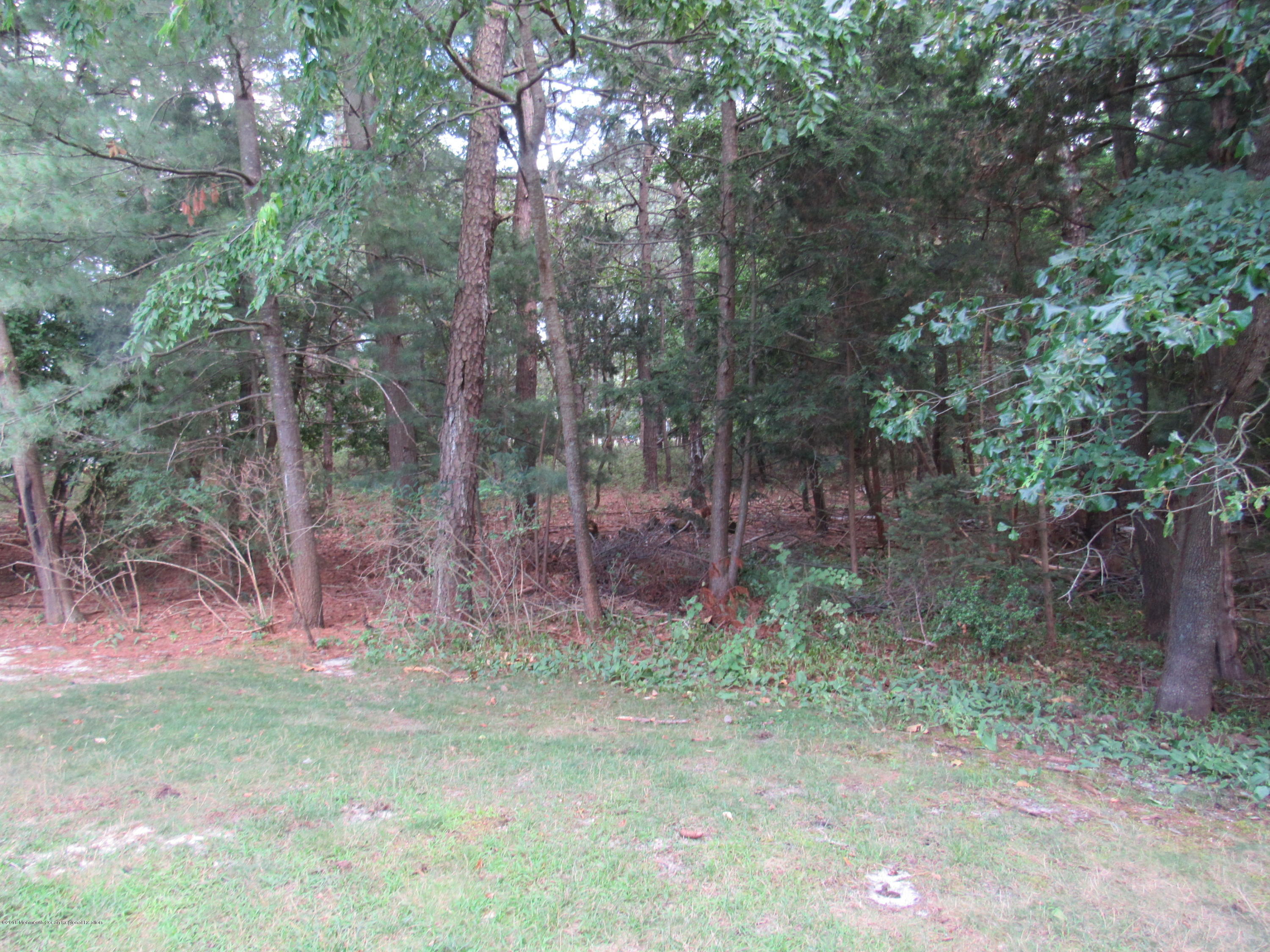 7B Spring Street, Unit C Whiting, NJ 08759 - Photo 12 of 13 IMG_3362
