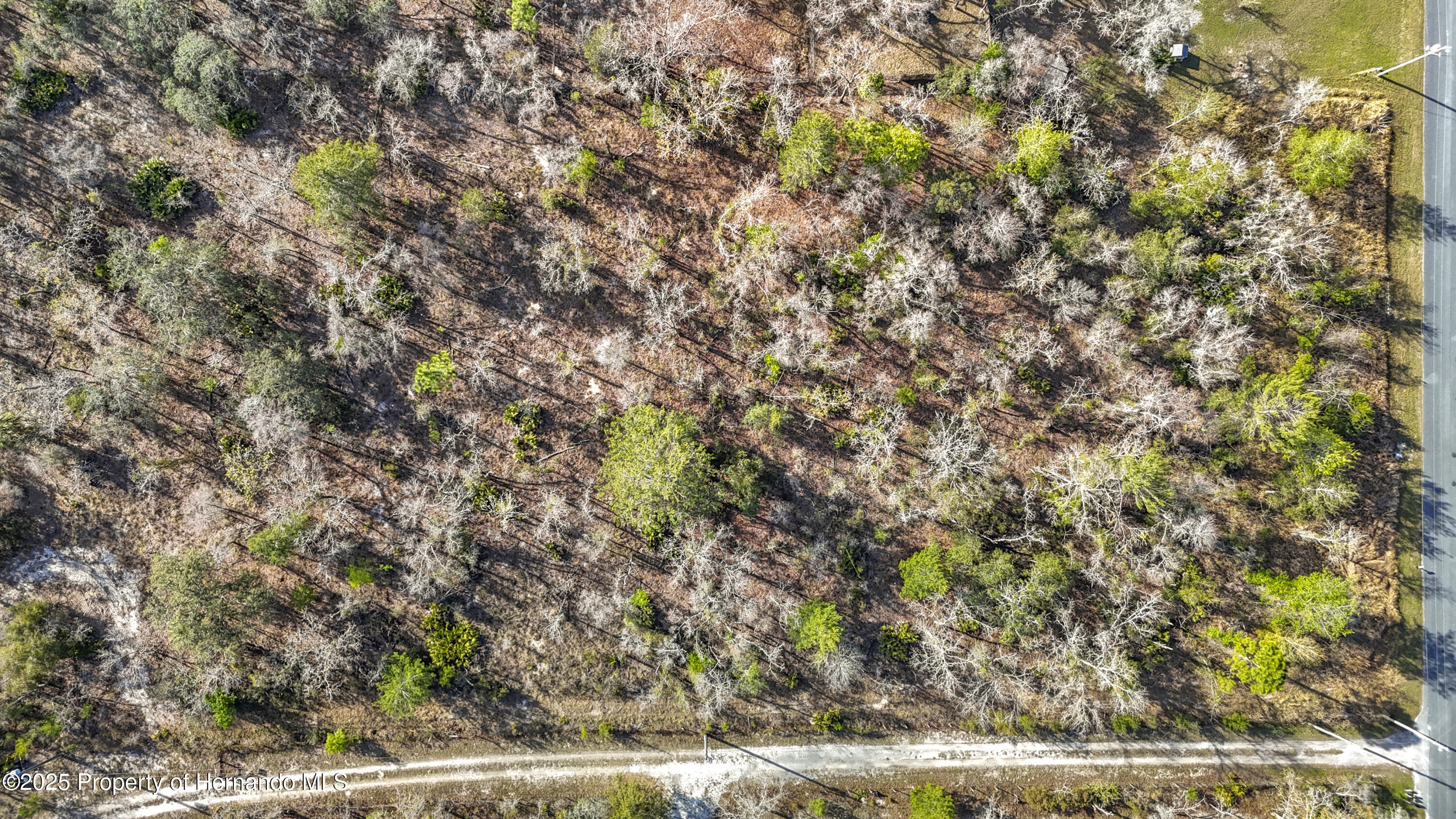 0 Maripoe Road Weeki Wachee, FL 34614 - Photo 36 of 39