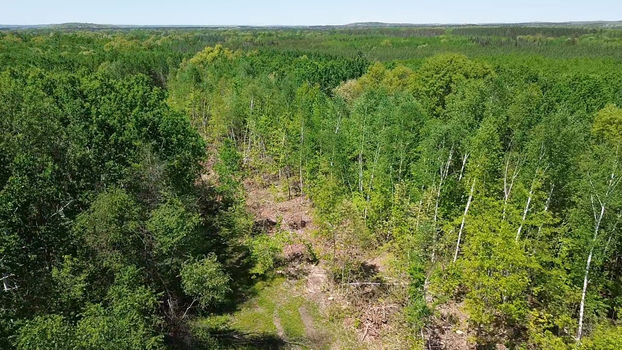 343 X 5th Avenue Shell Lake, WI 54871 - Photo 13 of 16