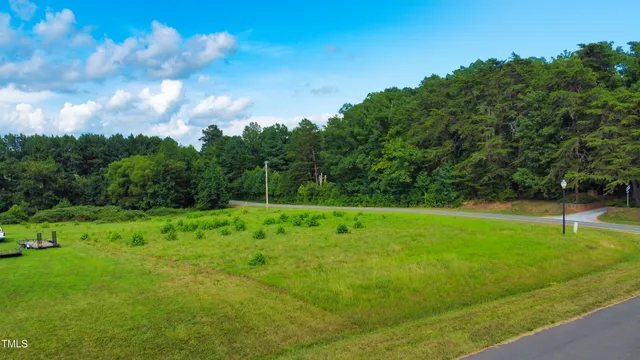 a view of a park with large trees