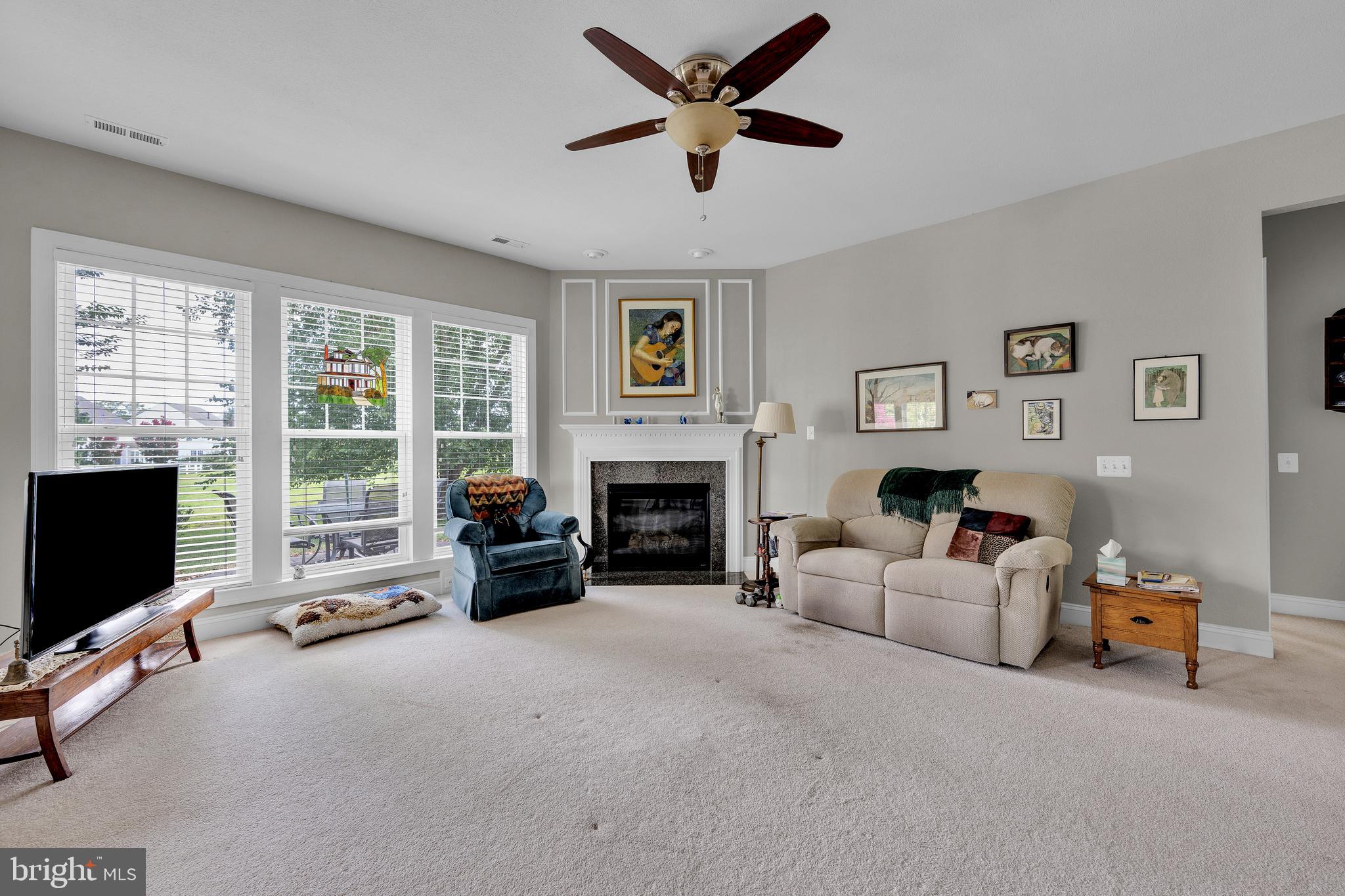 34170 High Knoll Road Lewes, DE 19958 - Photo 7 of 43 Gas Fireplace