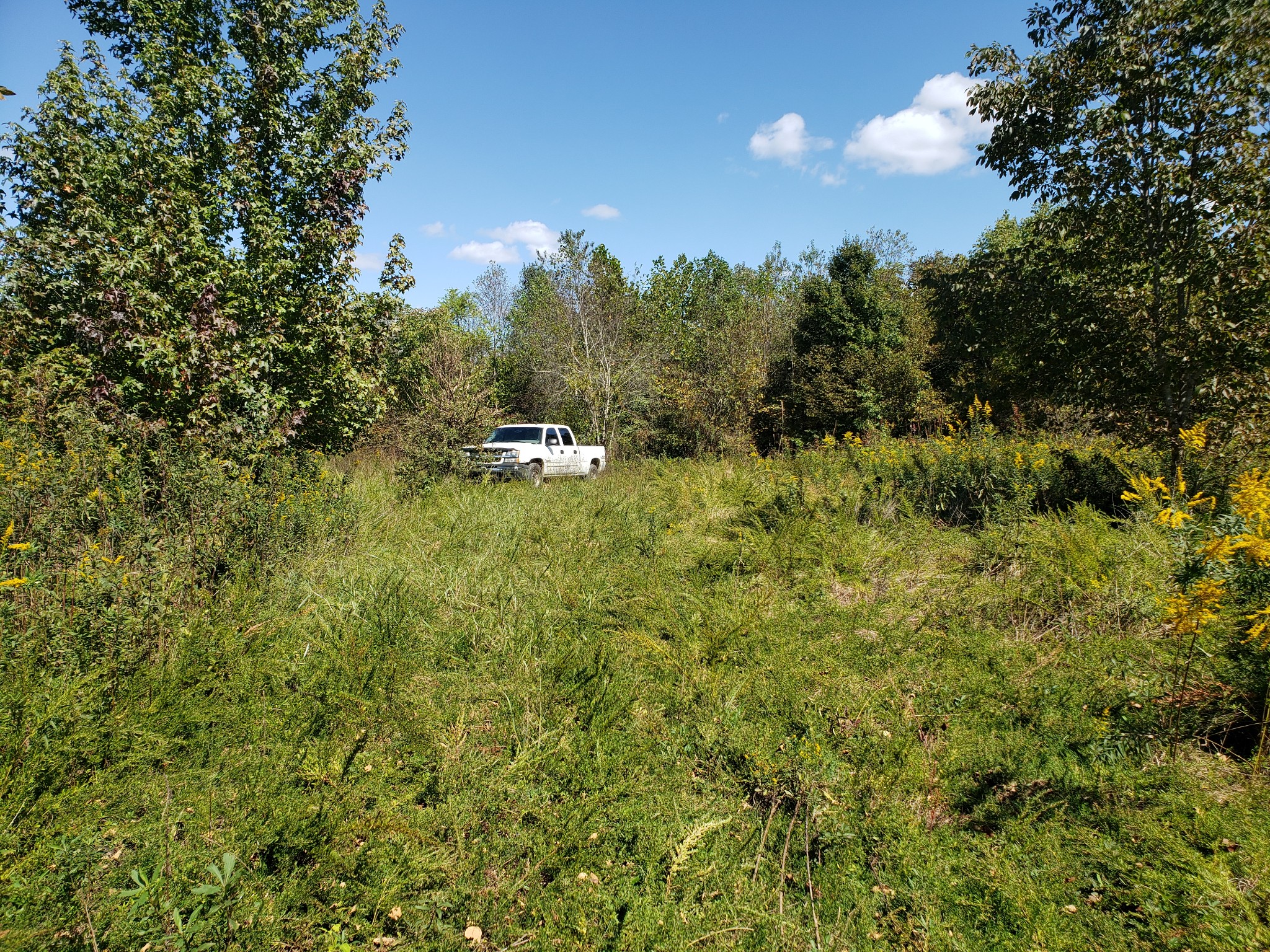 0 Factors Fork Road Westpoint, TN 38486 - Photo 2 of 6 a view of a yard