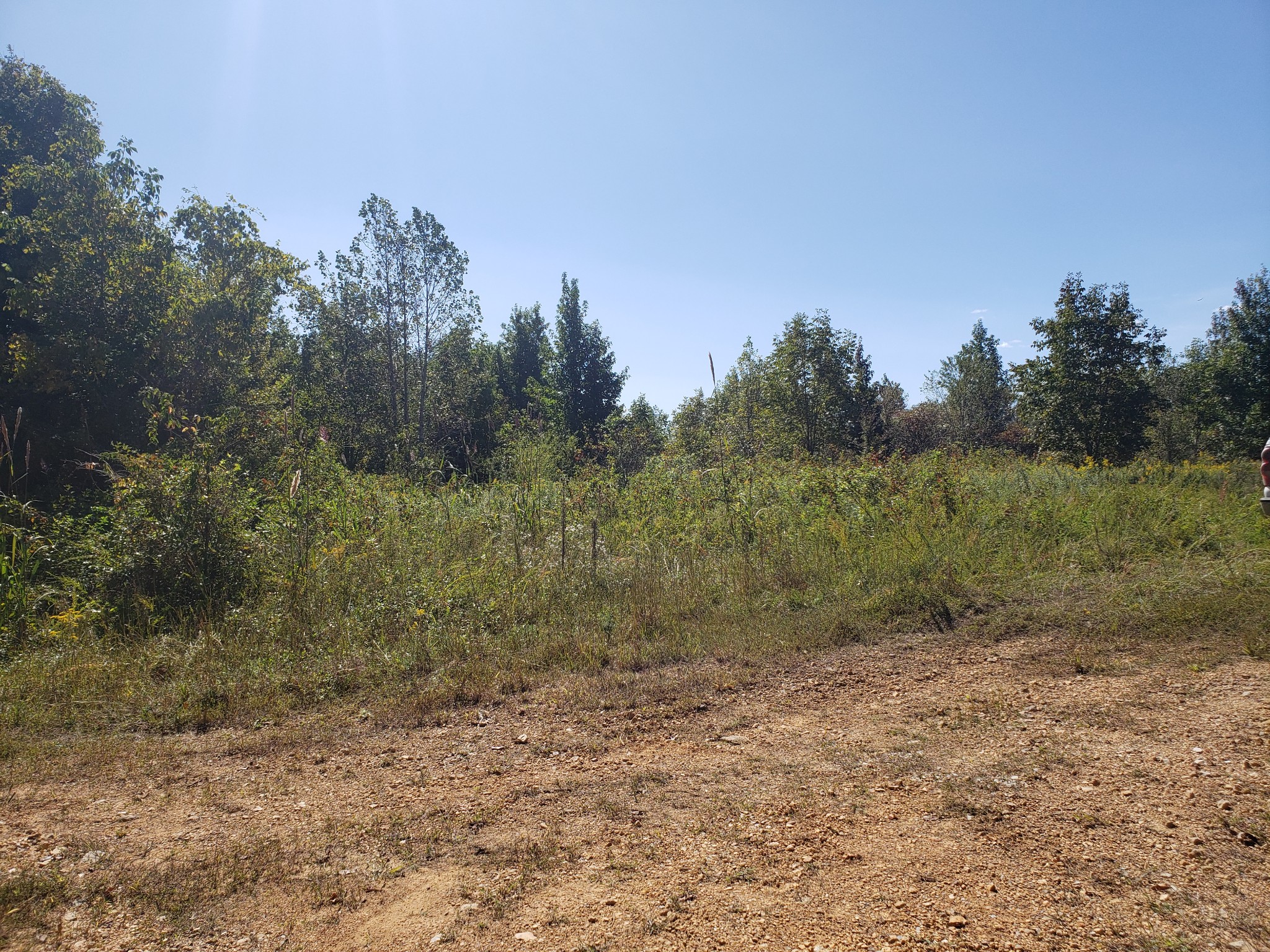 0 Factors Fork Road Westpoint, TN 38486 - Photo 6 of 6 a view of a forest with trees in the background