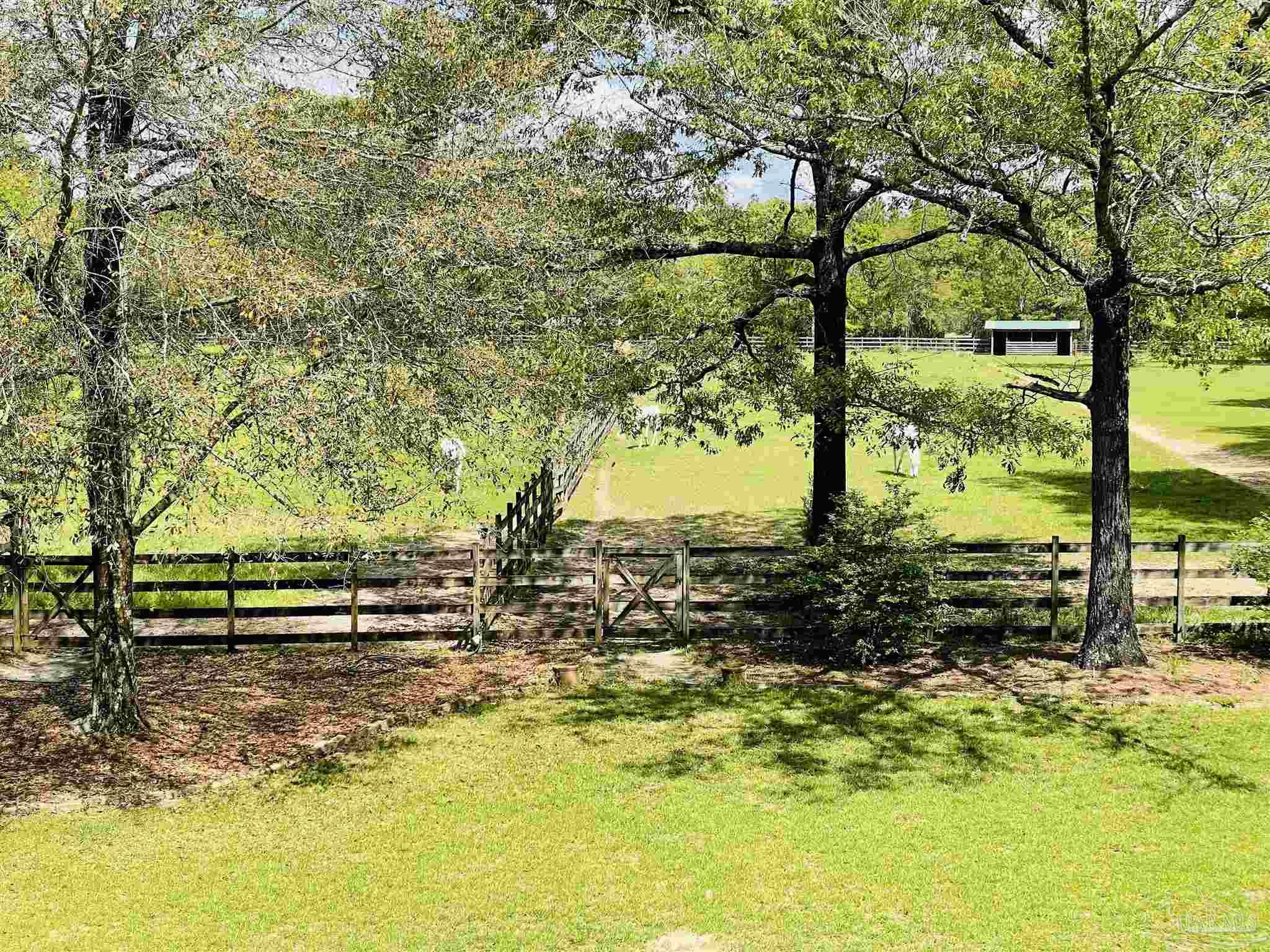6088 Last Chance Road Milton, FL 32570 - Photo 5 of 29 Gallery Image 5