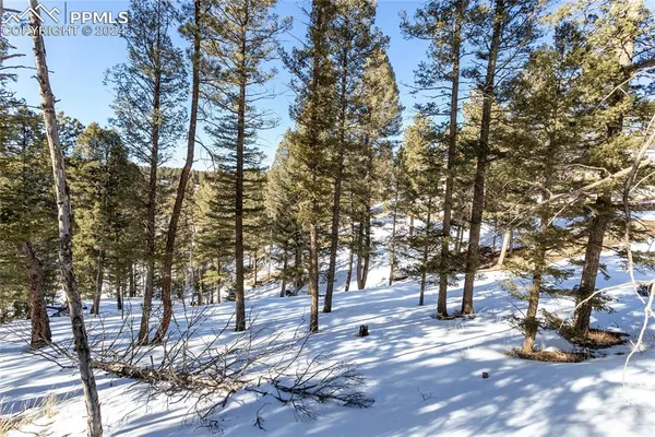 $115,000 | 329 Cottonwood Lake Drive, Divide, CO 80814