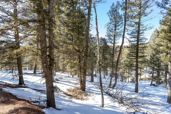 $115,000 | 329 Cottonwood Lake Drive, Divide, CO 80814