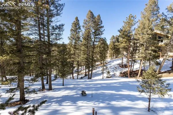 $115,000 | 329 Cottonwood Lake Drive, Divide, CO 80814