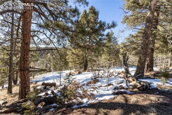$115,000 | 329 Cottonwood Lake Drive, Divide, CO 80814