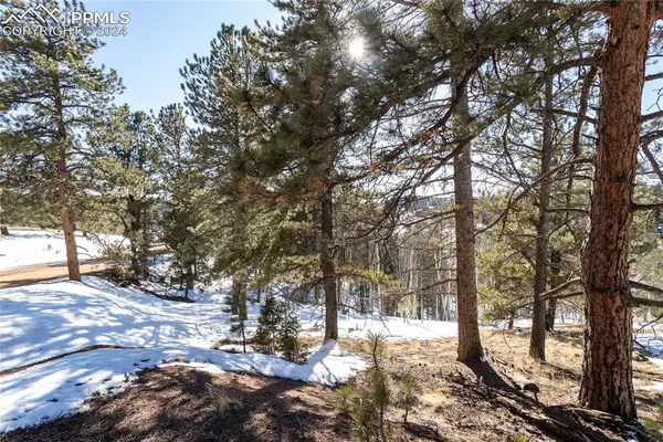 $115,000 | 329 Cottonwood Lake Drive, Divide, CO 80814
