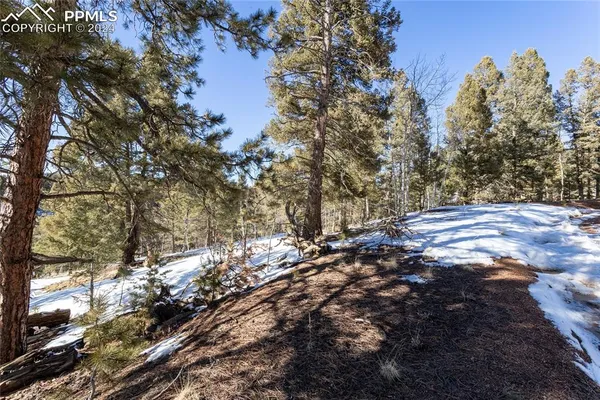 $115,000 | 329 Cottonwood Lake Drive, Divide, CO 80814