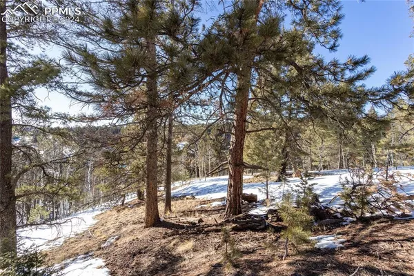 $115,000 | 329 Cottonwood Lake Drive, Divide, CO 80814